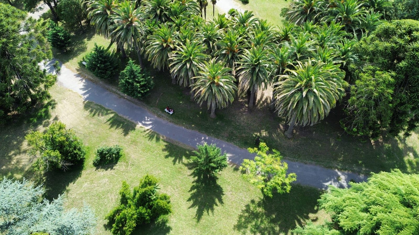 DJI Mini 3 (DJI RC), Lightweight 3x Mechanical Gimbal Drones with Camera for Adults 4K, 38-min Flight Time, up to 32800ft (10km) Video Transmission, Vertical Shooting, GPS Auto Return Integrated - Customer Photo 5