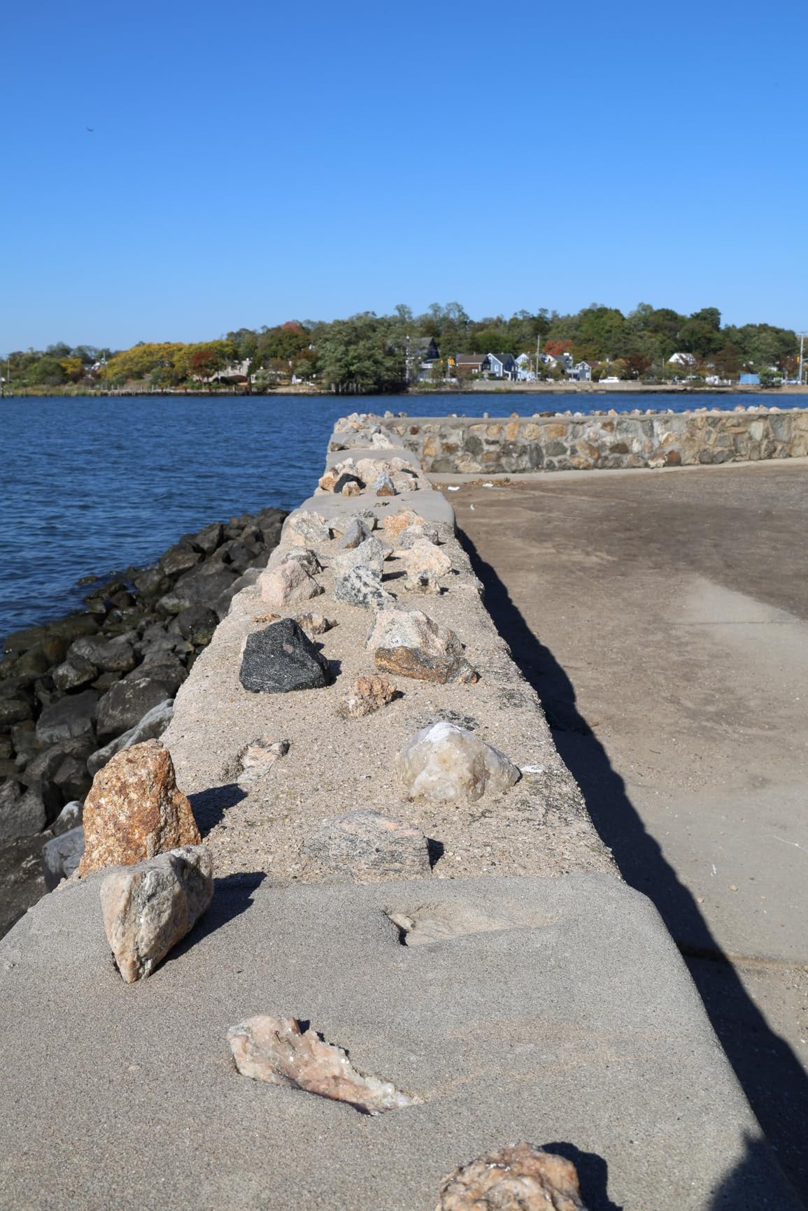 Canon EOS R6 Mark II Mirrorless Camera with RF24-105mm F4-7.1 is STM Lens Kit - Customer Photo 2