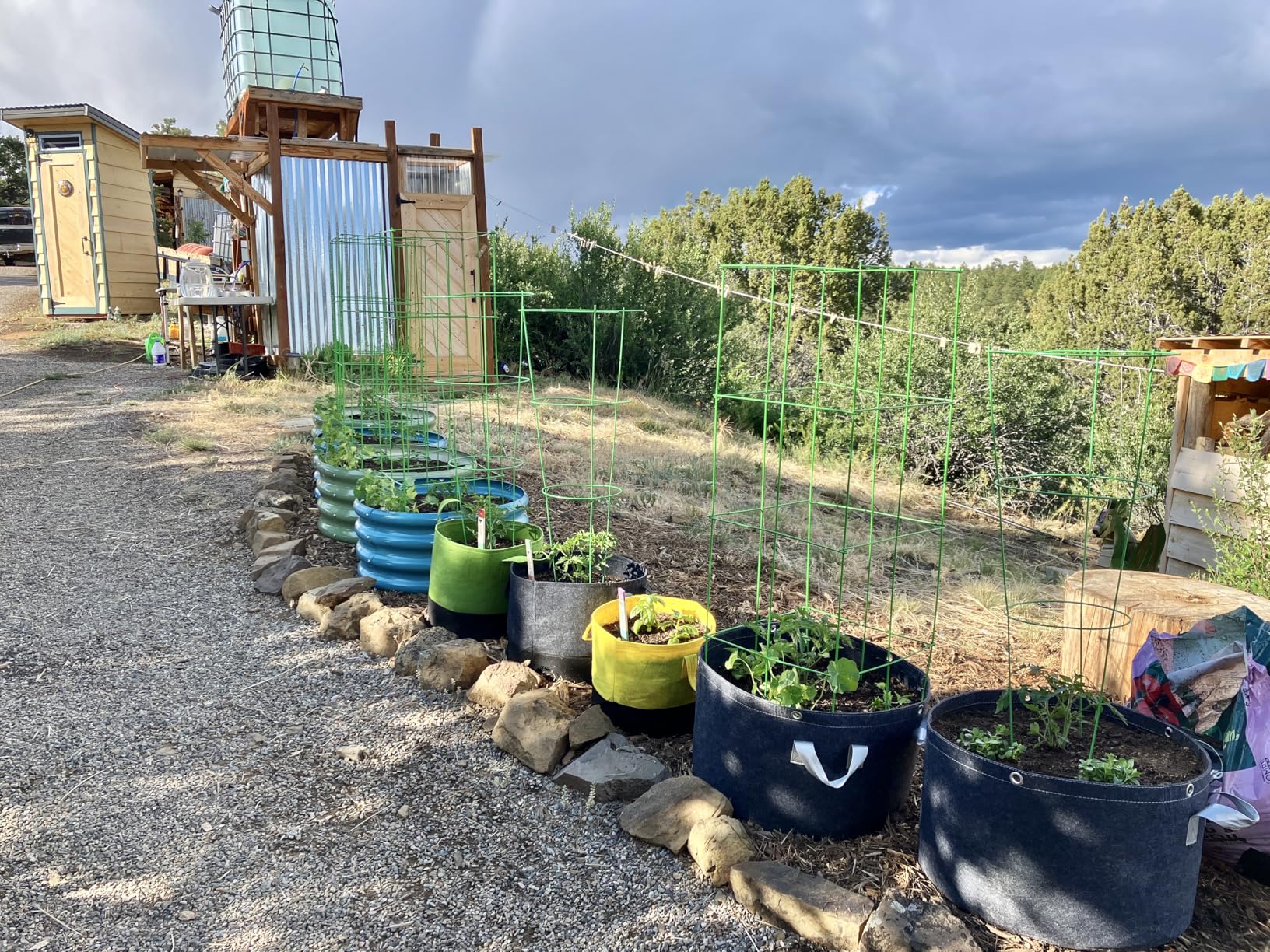 VIVOSUN 5-Pack 3 Gallon Grow Bags, 500G Thick Nonwoven Fabric Pots with Strap Handles, Multi-Purpose Rings, for Low Stress Plant Training Fruits, Vegetables, and Flowers - Customer Photo 3