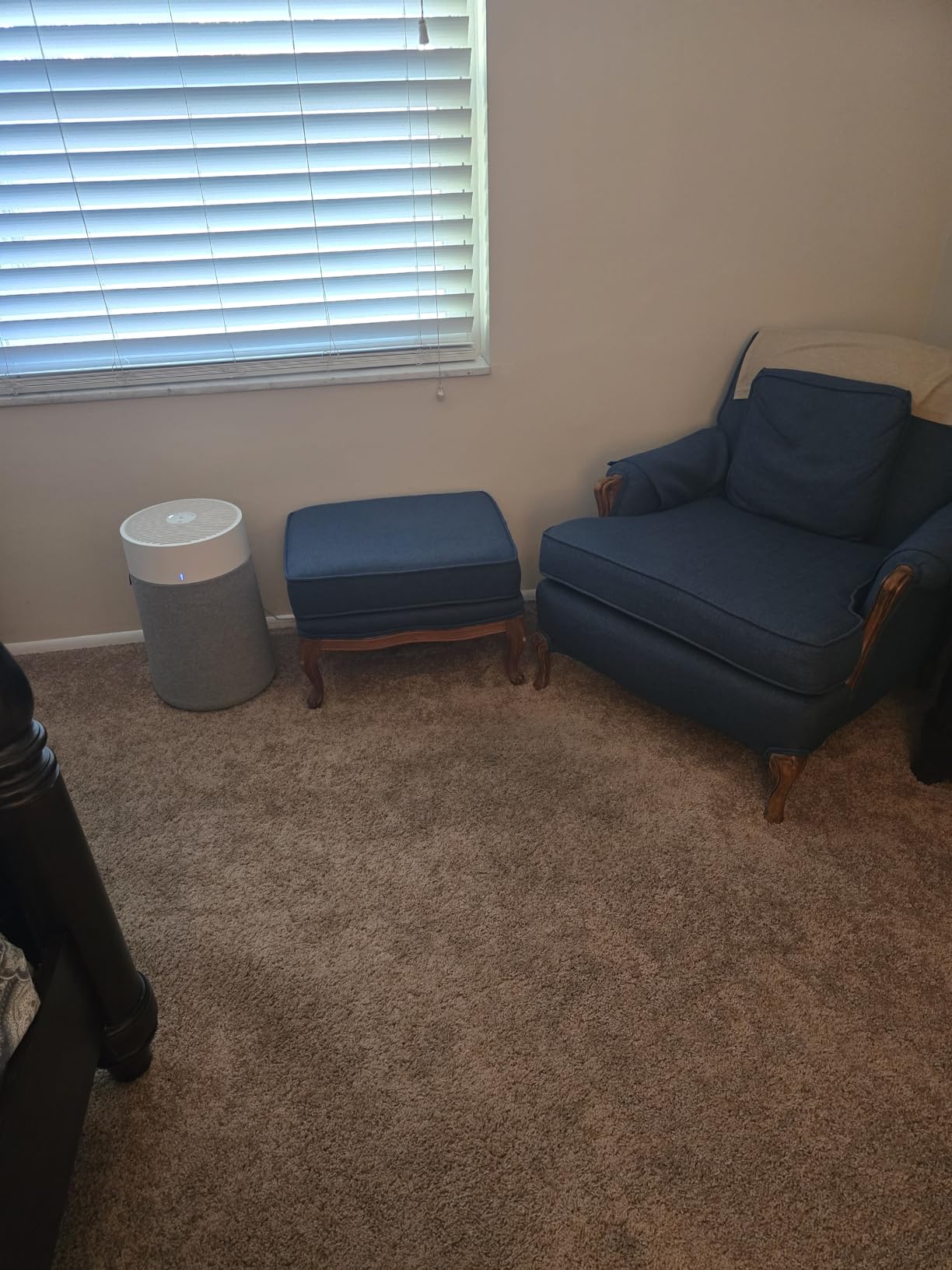 BLUEAIR Air Purifiers for Medium Rooms, Bedroom, Kitchen, Cleans 1,858 sqft in one hour, HEPASilent Smart Air Cleaner for Home, Pets, Allergies, Virus, Dust, Mold, Smoke - Blue Pure 311i Max - Customer Photo 1