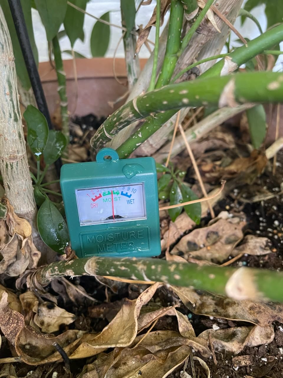 Antonki 2 Pack Soil Moisture Meter, Plant Water Monitor Hygrometer Sensor, Soil Water Tester Kit for Outdoor and Indoor Potted Plants, Flower, Gardening, Farming - No Battery Required - Customer Photo 2