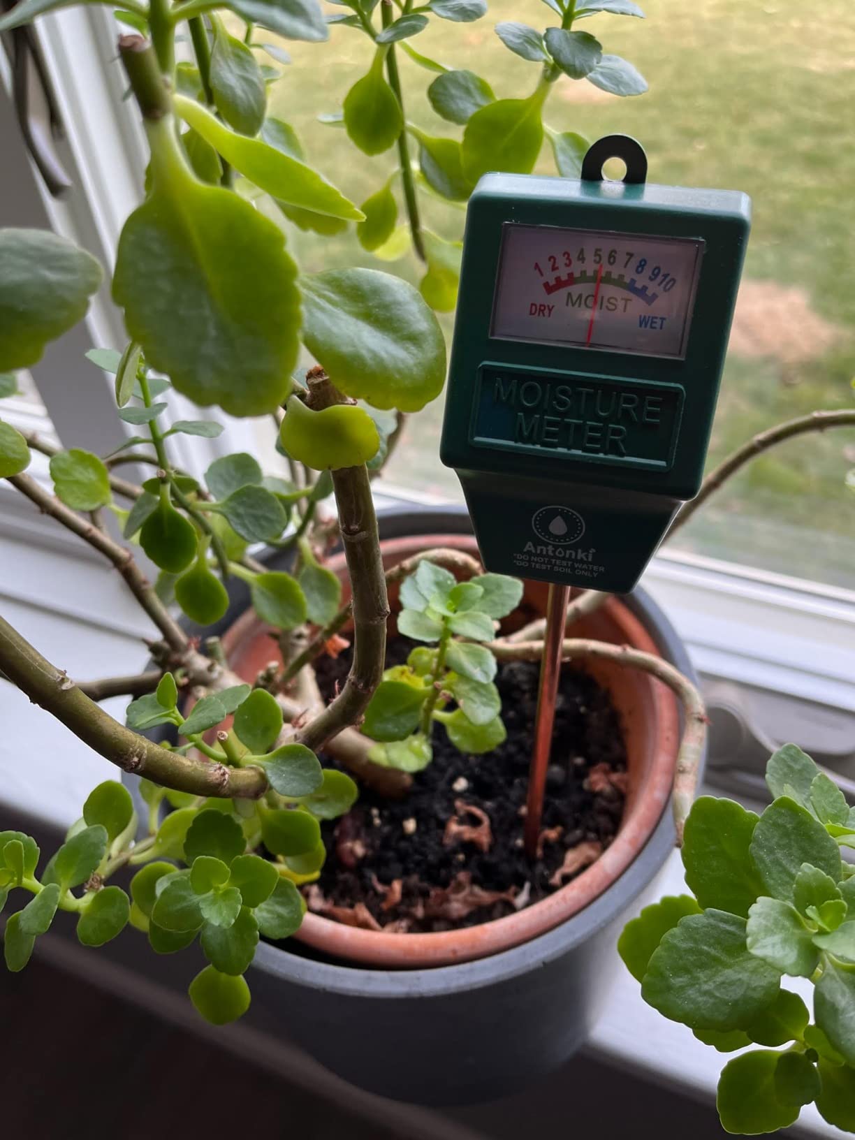 Antonki 2 Pack Soil Moisture Meter, Plant Water Monitor Hygrometer Sensor, Soil Water Tester Kit for Outdoor and Indoor Potted Plants, Flower, Gardening, Farming - No Battery Required - Customer Photo 4