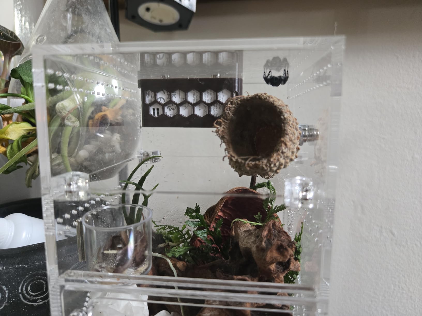 Govee WiFi Hygrometer Thermometer 6 Pack H5100, Indoor Wireless Temperature Humidity Sensor Monitor with Remote App Notification Alert, 2 Years Data Storage Export, for Home, Greenhouse - Customer Photo 1