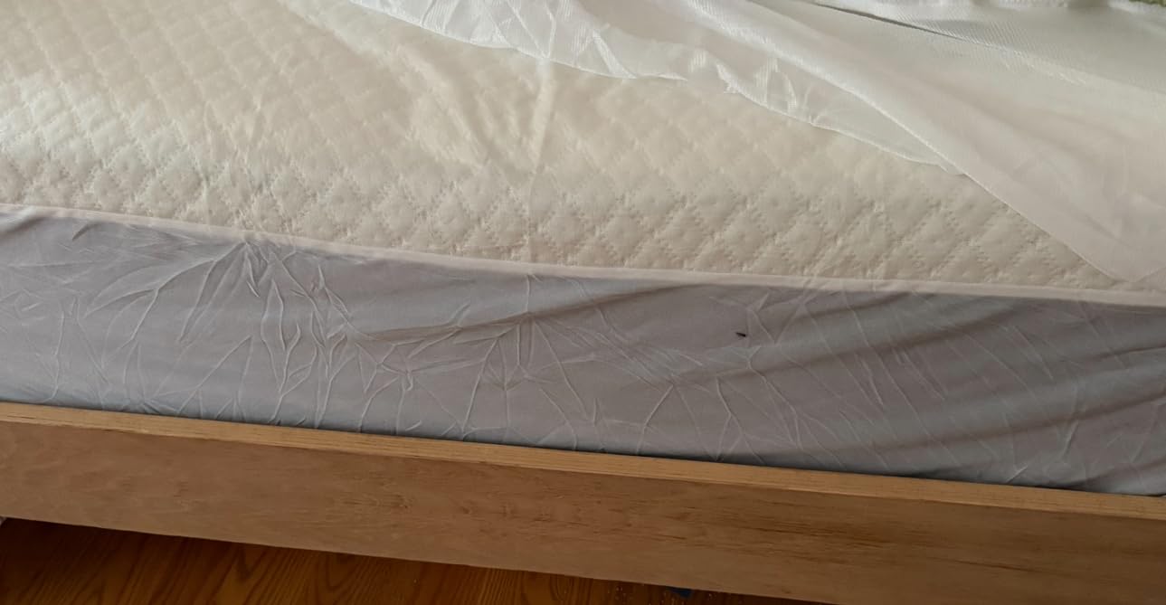 Brooklyn Bedding Plank Firm Luxe 13