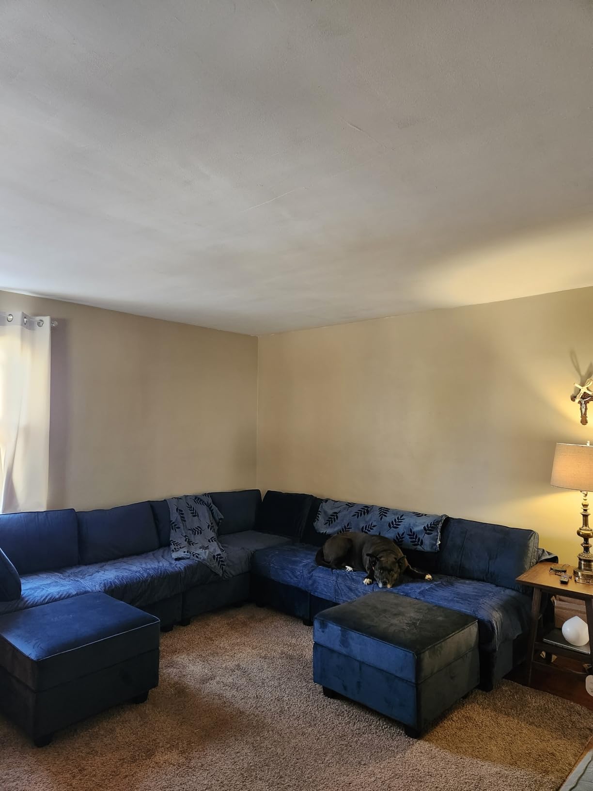 Belffin Modular Sectional Sofa with Ottomans Velvet Reversible Sleeper Sectional Sofa with Chaise Modular Sleeper Sofa Bed with Storage Seat Blue - Customer Photo 1