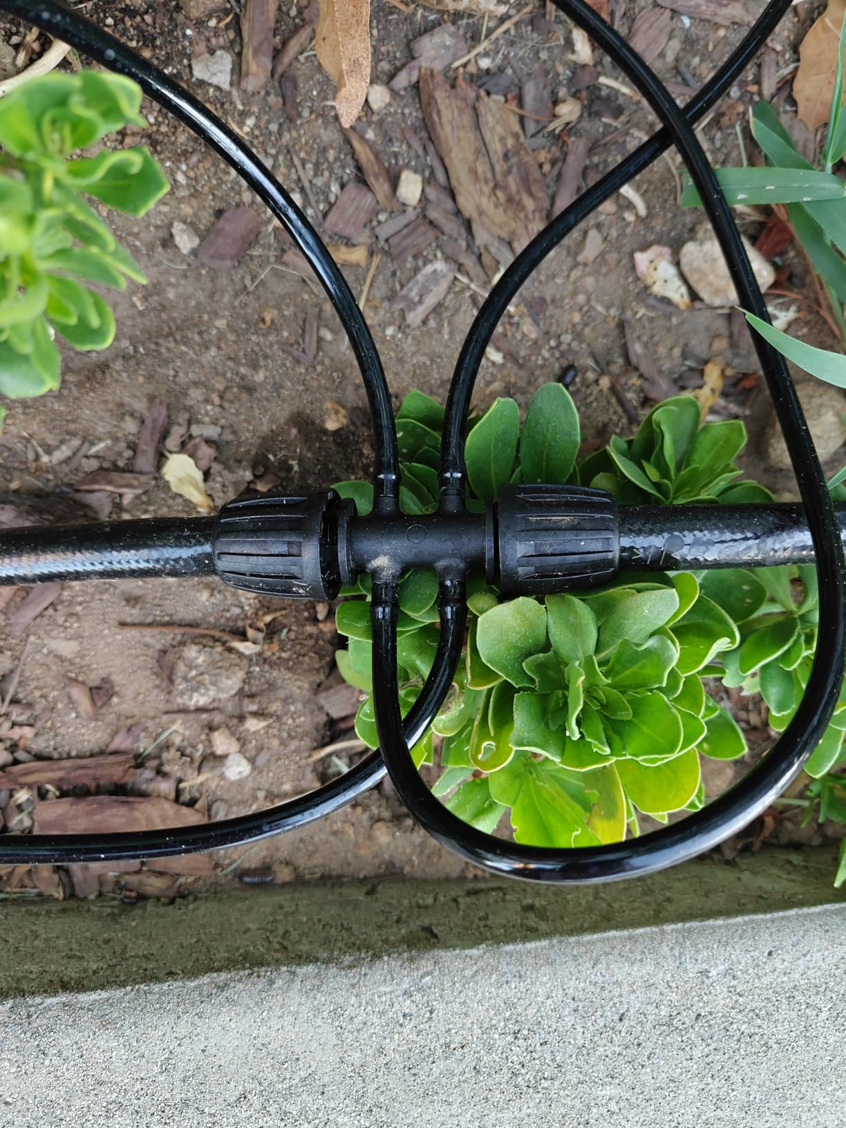 240FT Drip Irrigation System Kit, Automatic Garden Watering Misting System for Greenhouse, Yard, Lawn, Plant with 1/2 inch Hose 1/4 inch Distribution Tubing and Accessories - Customer Photo 1