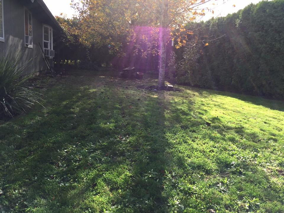 Greenworks 40V (230 MPH / 505 CFM) Cordless Brushless Leaf Blower/Vacuum with Bag, High Power, Lightweight & Quiet for Yard Debris Cleanup, Includes 5.0Ah Battery & Charger - Customer Photo 2