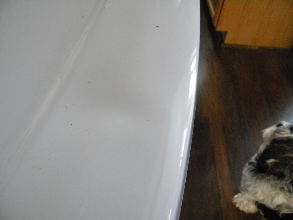 Avanti Vented Gas Dryer Front Load Clothes Drying Machine, 10 Automatic Cycles and 4 Temperature Settings and Dry Levels with LED Display Reversible Door and Rear or Side Venting, 6.7 Cu.Ft., White - Customer Photo 2