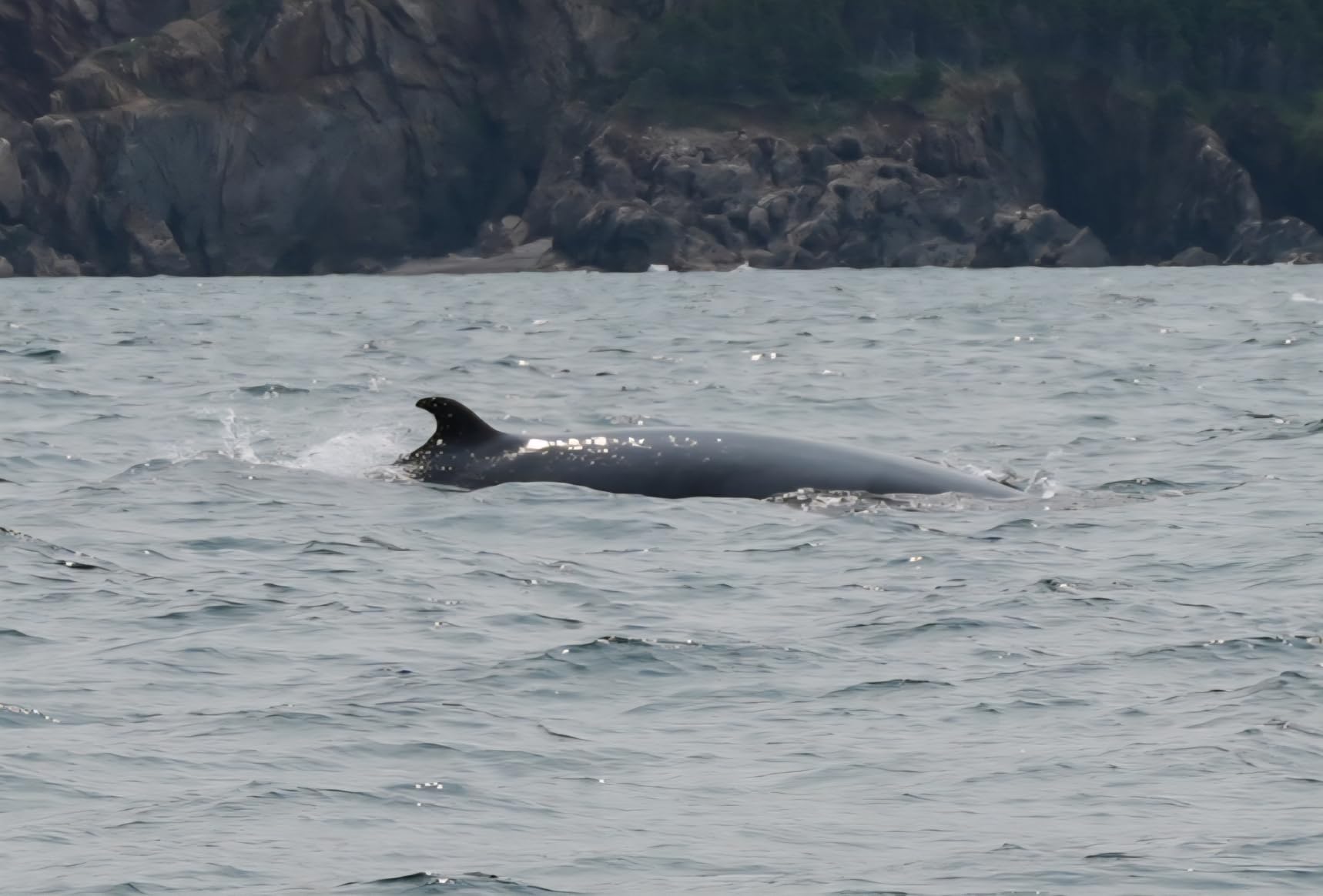 Sony FE 20-70mm f/4 G Lens - Customer Photo 1