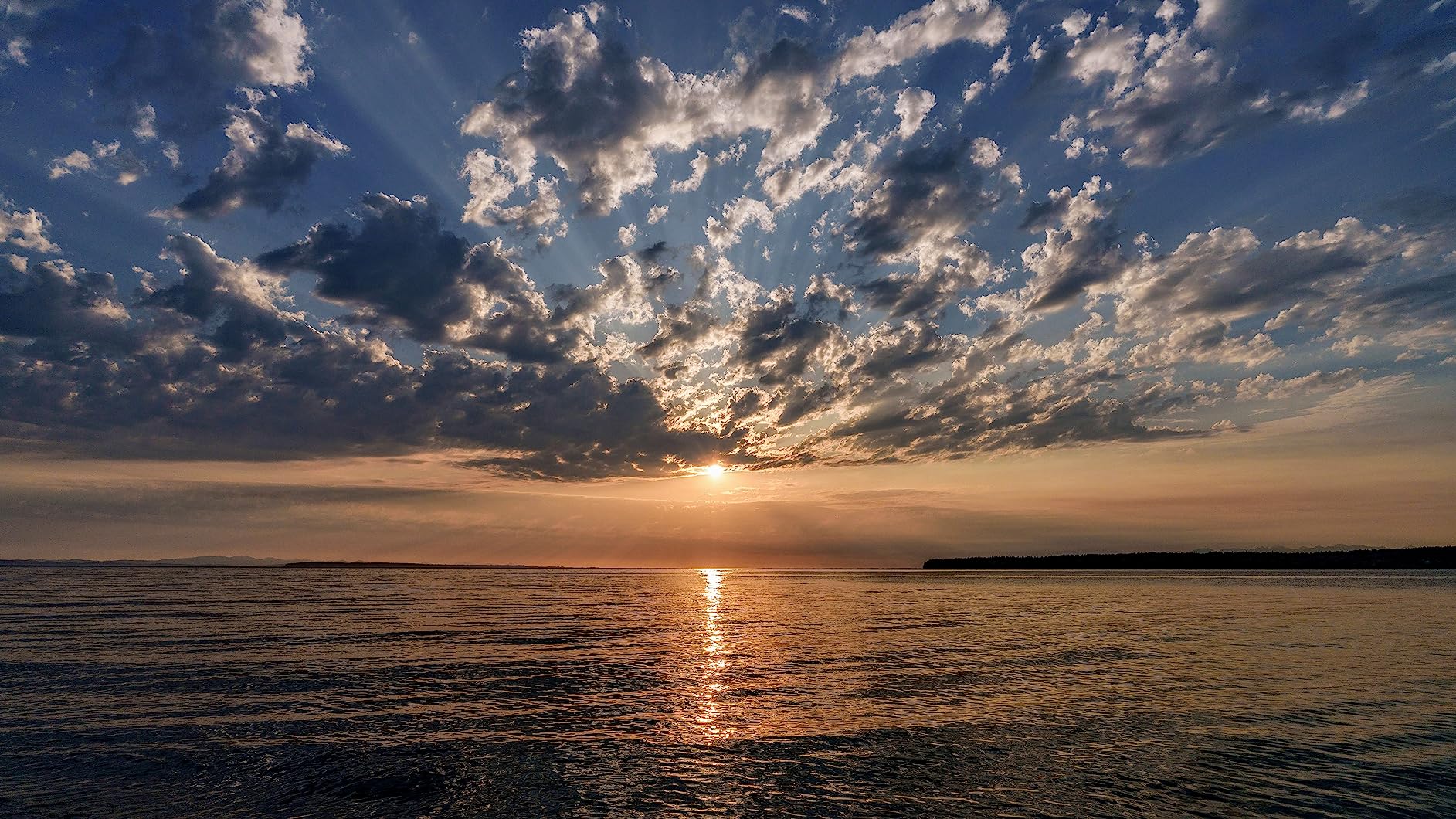 Sony FE 20-70mm f/4 G Lens - Customer Photo 2