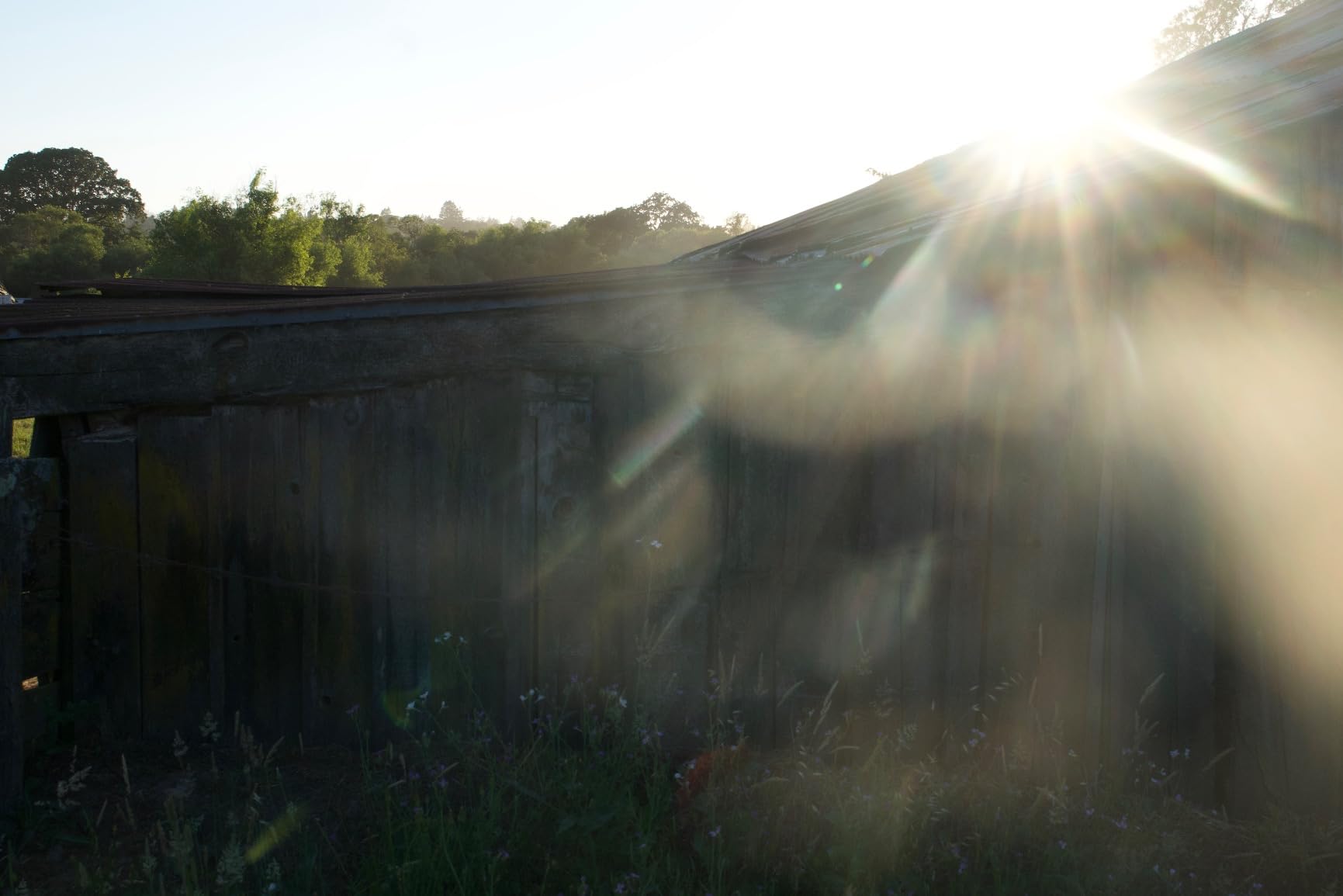 Sony FE 20-70mm F4 G Full-Frame Standard Zoom Lens Customer Review Sony FE 20-70mm F4 G Full-Frame Standard Zoom Lens - Customer Photo 4