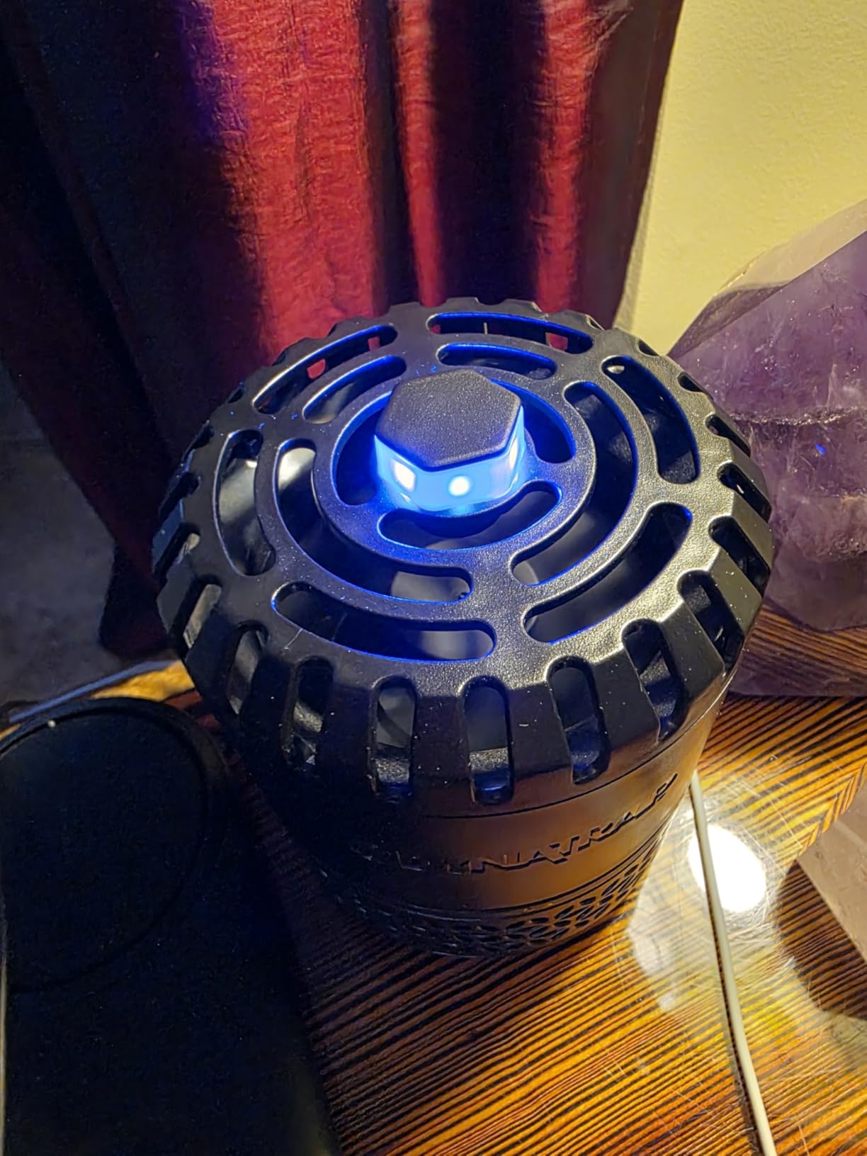 DynaTrap DT152 Indoor Insect Trap and Killer - Catches and Kills Gnats, Flies, Moths & Other Flying Insects Customer Review DynaTrap DT152 Indoor Insect Trap and Killer - Catches and Kills Gnats, Flies, Moths & Other Flying Insects - Customer Photo 2