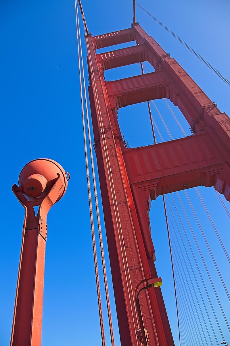 Canon EOS R8 Mirrorless Camera Body, Full-Frame CMOS Sensor, 24.2 Megapixels, 4K 60p Video - Customer Photo 1