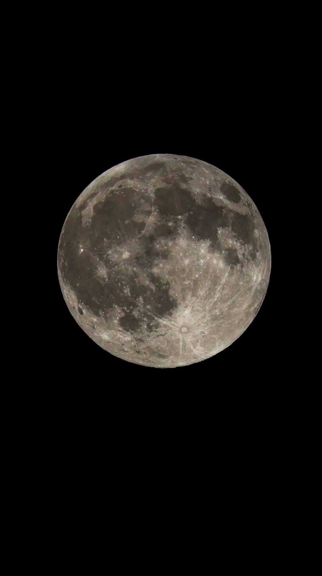 Canon EOS R50 Mirrorless Camera RF-S18-45mm F4.5-6.3 is STM Lens Kit, 24.2 Megapixel CMOS (APS-C) Sensor, 4K Video, Hybrid Camera, Photo and Video, Vlogging, Content Creator, RF Mount, Black - Customer Photo 3