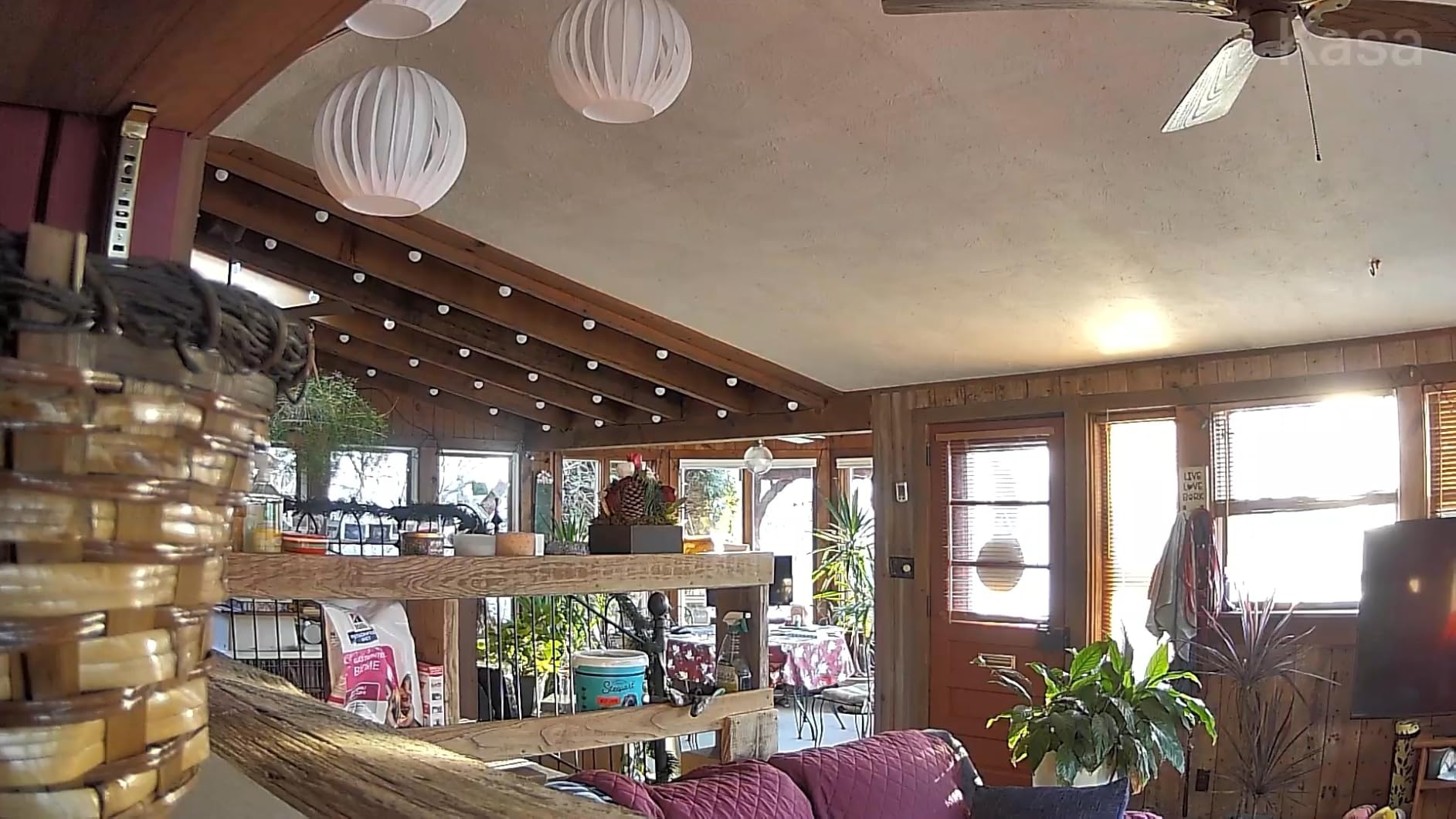 Kasa Smart Indoor Pan-Tilt Home Security Camera, 1080p HD Dog Camera w/Night Vision, Motion Detection for Baby & Pet Monitor, Cloud & SD Card Storage, Works w/ Alexa & Google Home, 2.4G WiFi (EC71) Customer Review Kasa Smart Indoor Pan-Tilt Home Security Camera, 1080p HD Dog Camera w/Night Vision, Motion Detection for Baby & Pet Monitor, Cloud & SD Card Storage, Works w/ Alexa & Google Home, 2.4G WiFi (EC71) - Customer Photo 1