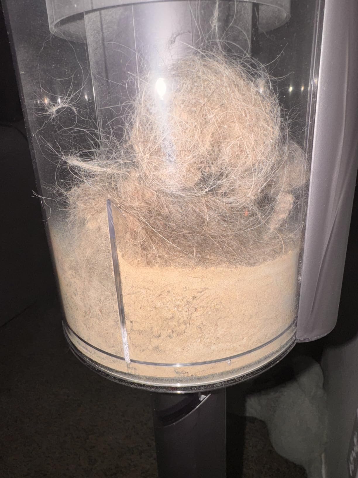 Dyson Gen5detect Cordless Vacuum - Customer Photo 1