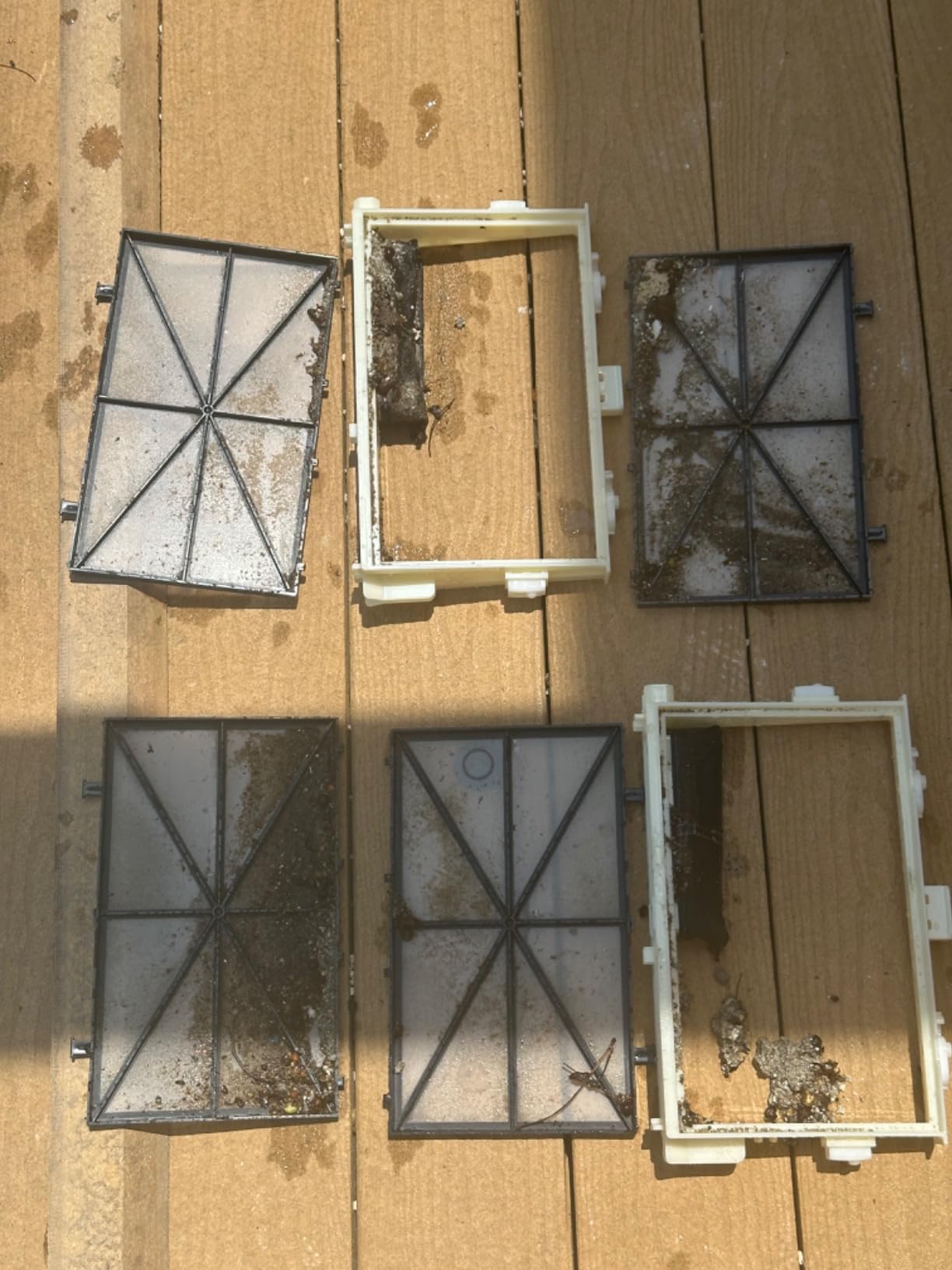 Dolphin Nautilus CC Plus Wi-Fi Automatic Robotic Pool Vacuum Cleaner, Always Cleaning, Never Charging, Ideal for In-Ground Pools up to 50 FT in Length Customer Review Dolphin Nautilus CC Plus Wi-Fi Automatic Robotic Pool Vacuum Cleaner, Always Cleaning, Never Charging, Ideal for In-Ground Pools up to 50 FT in Length - Customer Photo 1