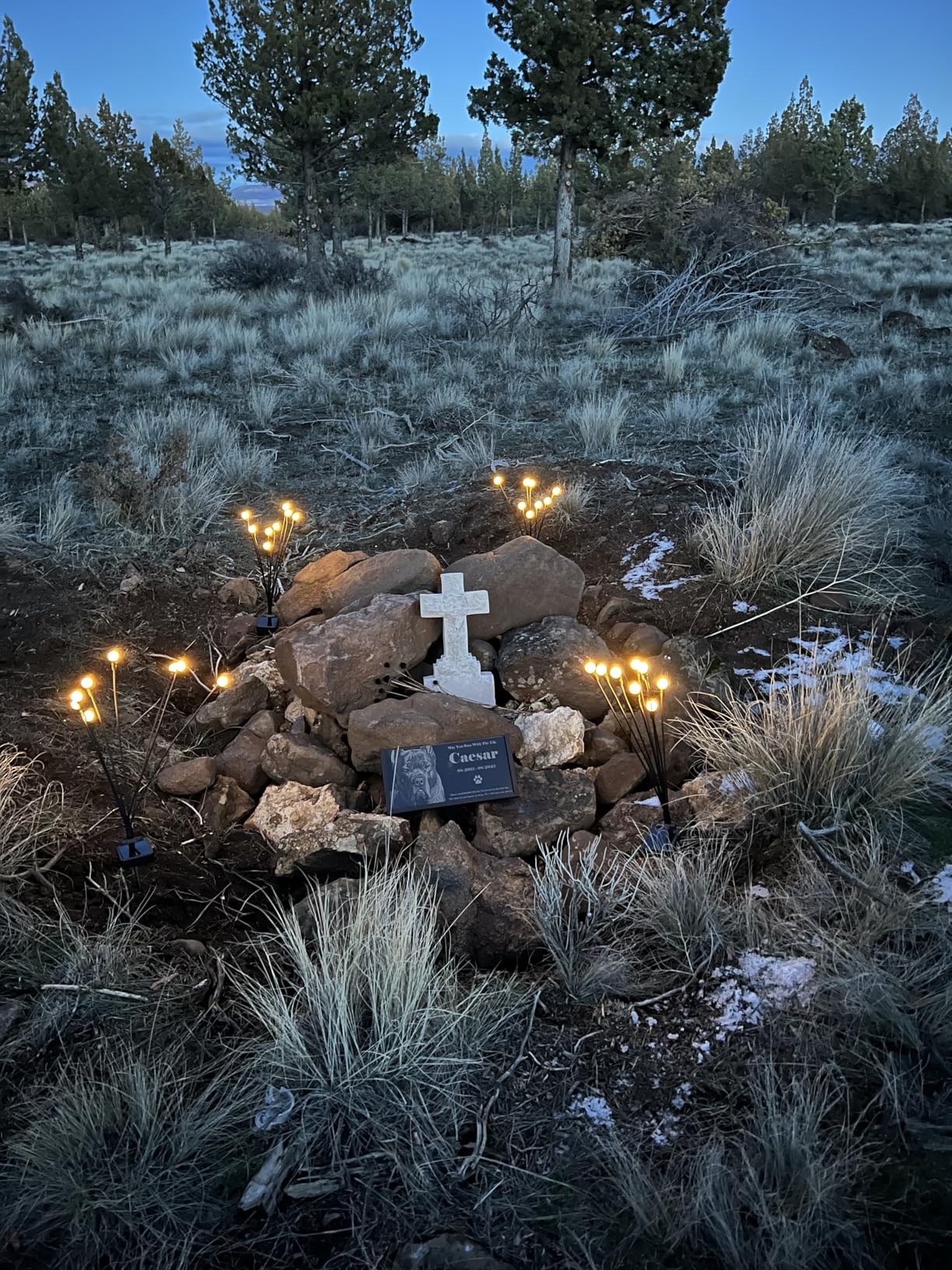 Solar Lights Outdoor(4 Pack,32 LEDs), ASMAD Solar Garden Lights, Outdoor Decorations, Firefly Light for Patio Decor, Big Bulb, Unique Gifts for Women, Gifts for Grandma - Customer Photo 1