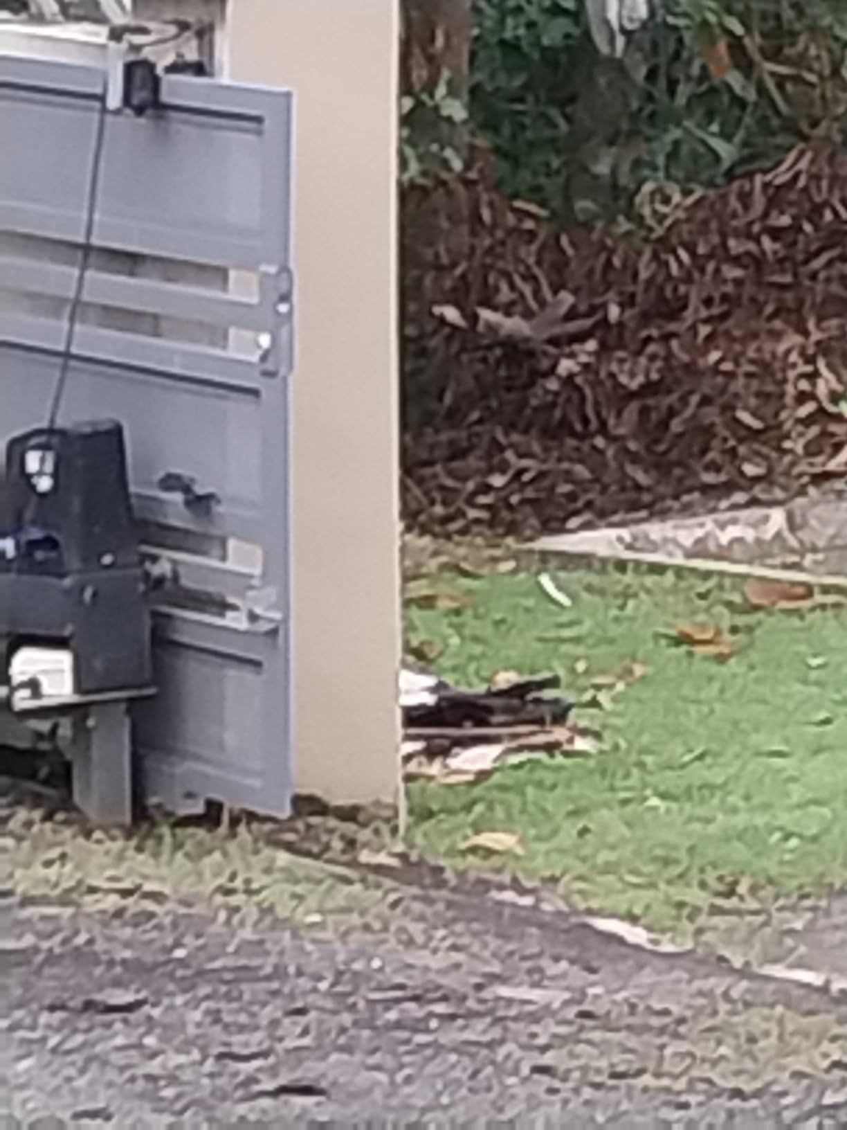 TOPENS CK2500 Automatic Sliding Gate Opener Chain Drive Electric Gate Motor for Heavy Driveway Slide Gate Up to 5700 Pounds Security Gate Operator AC Powered with 20ft Roller Chain and Remote Control - Customer Photo 2