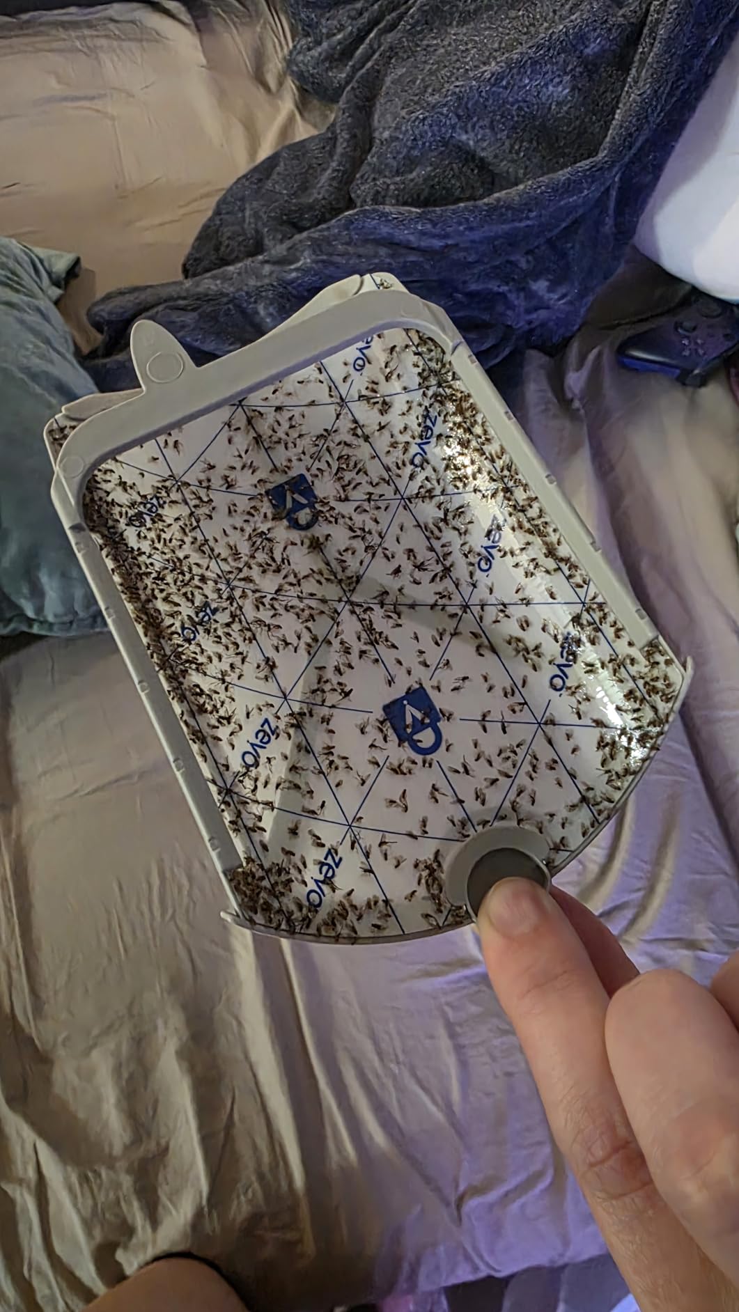 Zevo 2 Flying Insect Traps & 2 Refill Cartridges - Plug in Fly Trap & Indoor Bug Catcher for Gnats, House & Fruit Flies - Blue & UV Light Technology Customer Review Zevo 2 Flying Insect Traps & 2 Refill Cartridges - Plug in Fly Trap & Indoor Bug Catcher for Gnats, House & Fruit Flies - Blue & UV Light Technology - Customer Photo 1