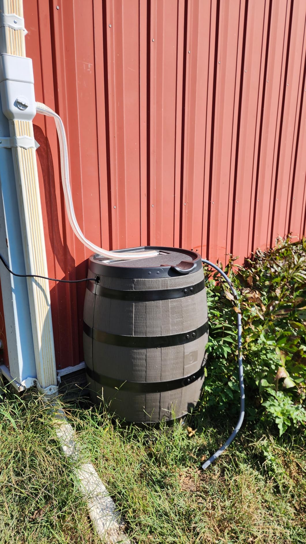 RTS Home Accents Premium 55-Gallon Rain Barrel with Removable Lid, Flat Back Rain Water Collection Barrel, Woodgrain with Black Stripes - Customer Photo 2