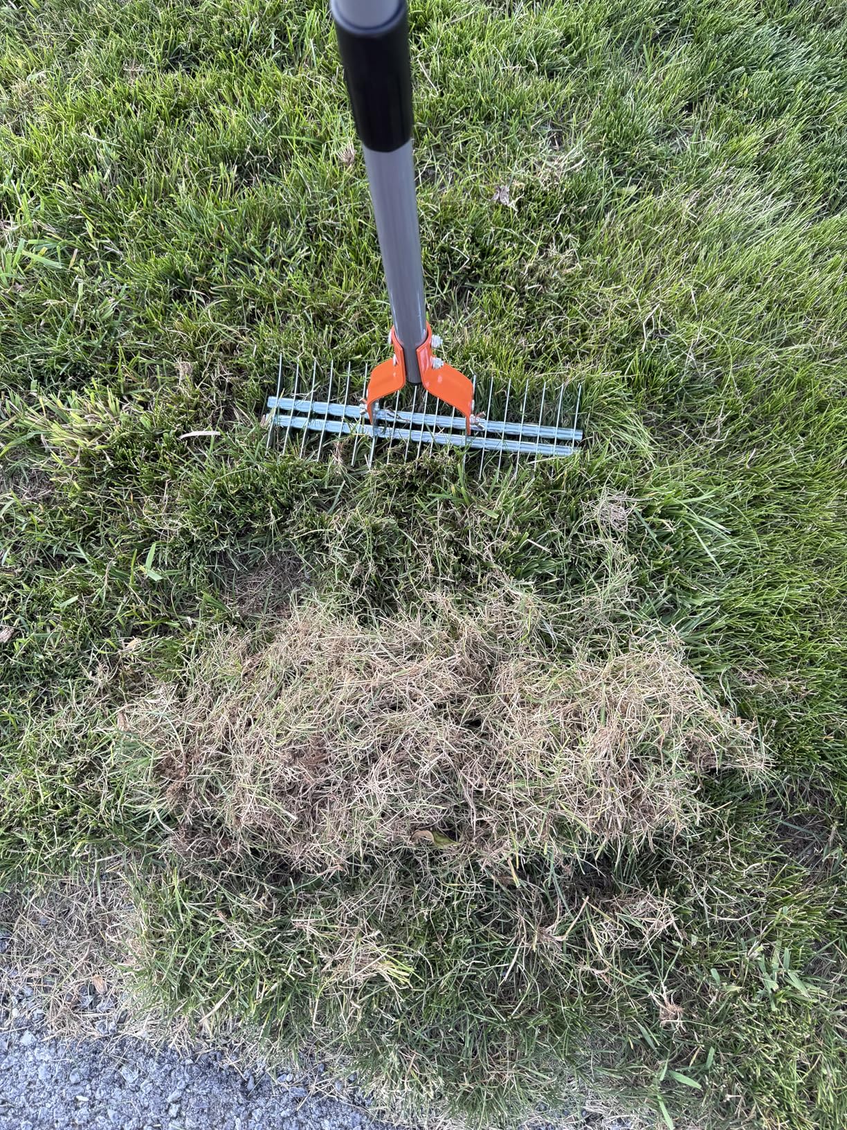 Walensee Thatch Rake, 15-Inch Lawn Thatching Rake, Robust Dethatcher Rake, Efficient Steel Metal Rake with Handle, Versatile Grass Grooming Rake for Cleaning Dead Grass, Yard Garden Durable Soil Rake - Customer Photo 1