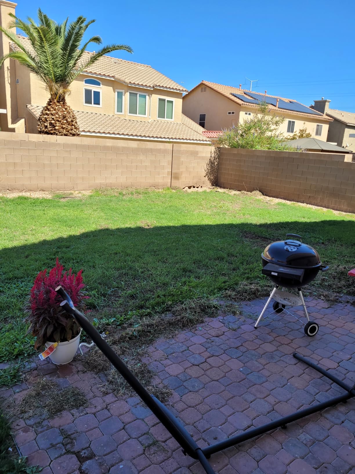 Walensee Thatch Rake, 15-Inch Lawn Thatching Rake, Robust Dethatcher Rake, Efficient Steel Metal Rake with Handle, Versatile Grass Grooming Rake for Cleaning Dead Grass, Yard Garden Durable Soil Rake - Customer Photo 2