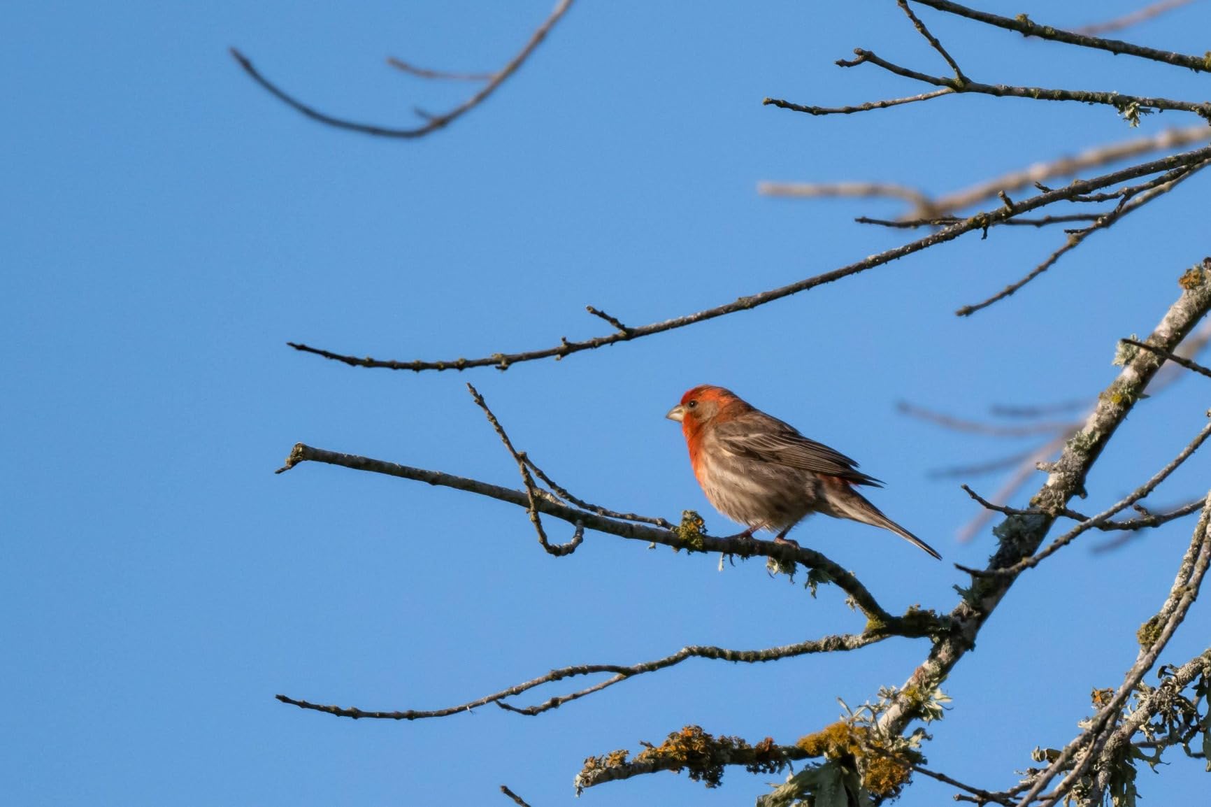 Nikon Z 8 | Professional full-frame mirrorless stills/video hybrid camera | Nikon USA Model - Customer Photo 3