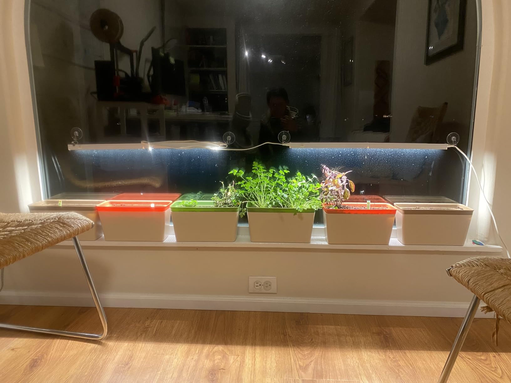 VIVOSUN Self-Watering Planters, 6-Pack 10.5 Inch Compact Rectangular Window Herb Planter Box with 10 PCS Plant Labels, Plant Container for Basil, Flowers, Succulents, Indoor & Outdoor - Customer Photo 2