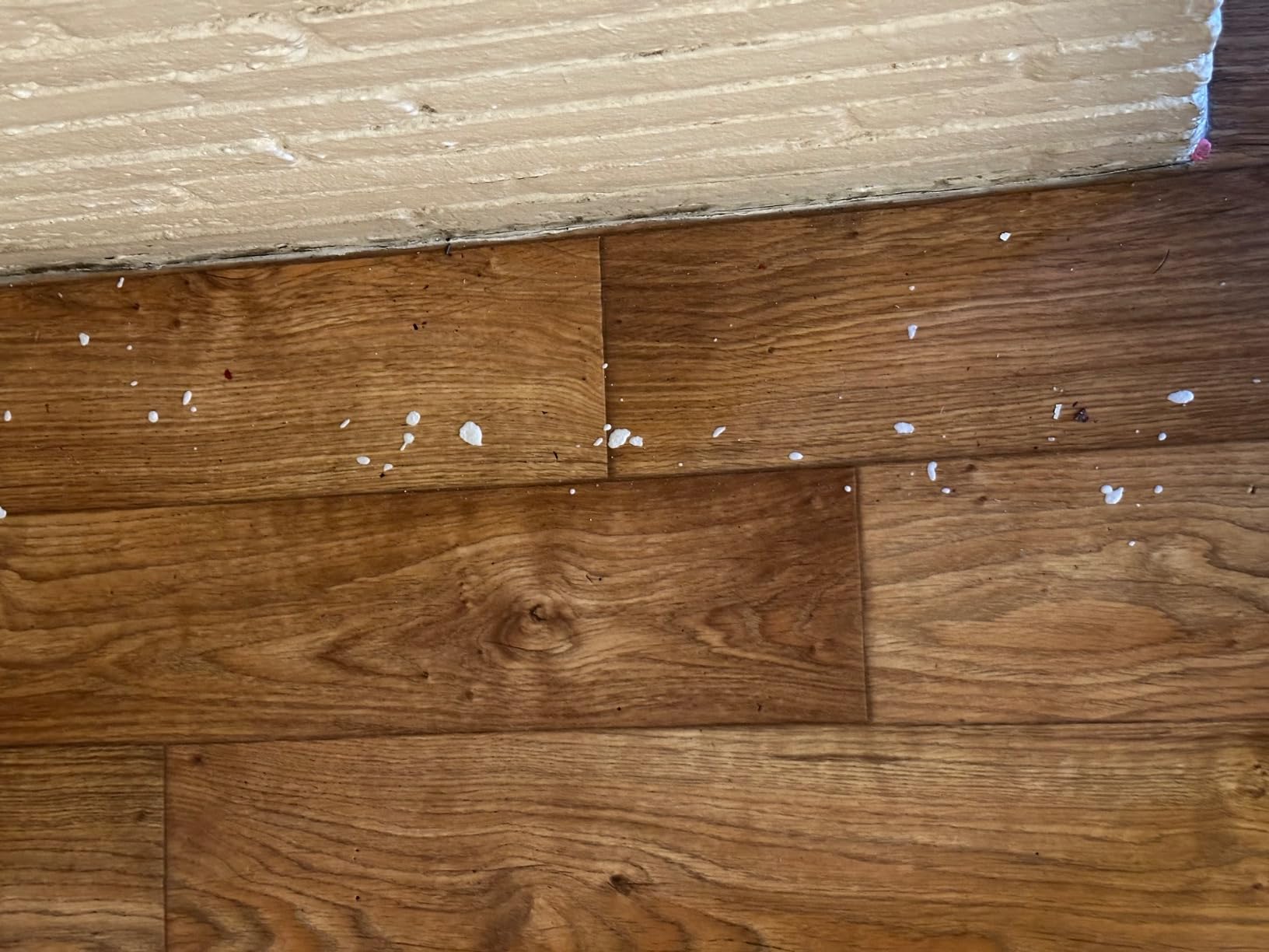 BASF PT Alpine Flea & Bed Bug Killer, Fast Acting Insecticide, Extended Long Lasting Pest Control Formula, Quick Dry, Non-staining, Ready to Use Spray Can 14 oz - Customer Photo 1