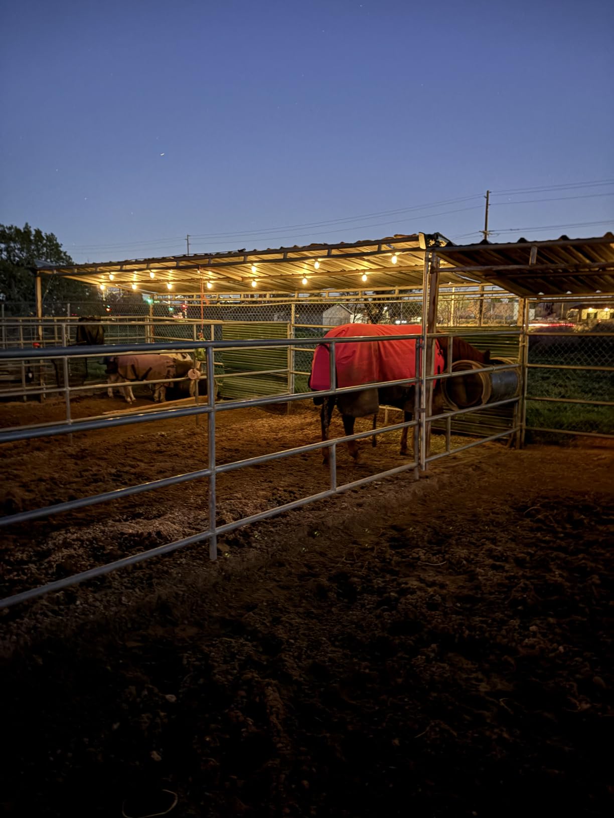 addlon 54(48+6) FT Solar String Lights Waterproof,Patio Lights Solar Powered with Remote & USB Port 15+1 LED Shatterproof Bulbs 3 Light Modes, Dimmable Solar Light for Camping Backyard Garden - Customer Photo 1