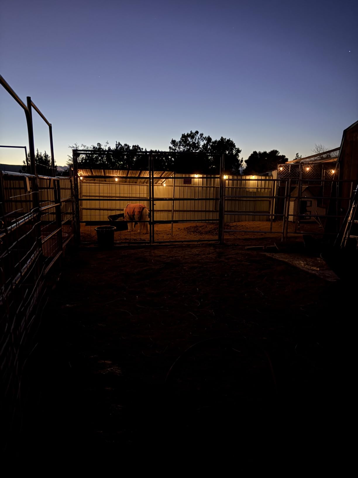 addlon 54(48+6) FT Solar String Lights Waterproof,Patio Lights Solar Powered with Remote & USB Port 15+1 LED Shatterproof Bulbs 3 Light Modes, Dimmable Solar Light for Camping Backyard Garden - Customer Photo 1