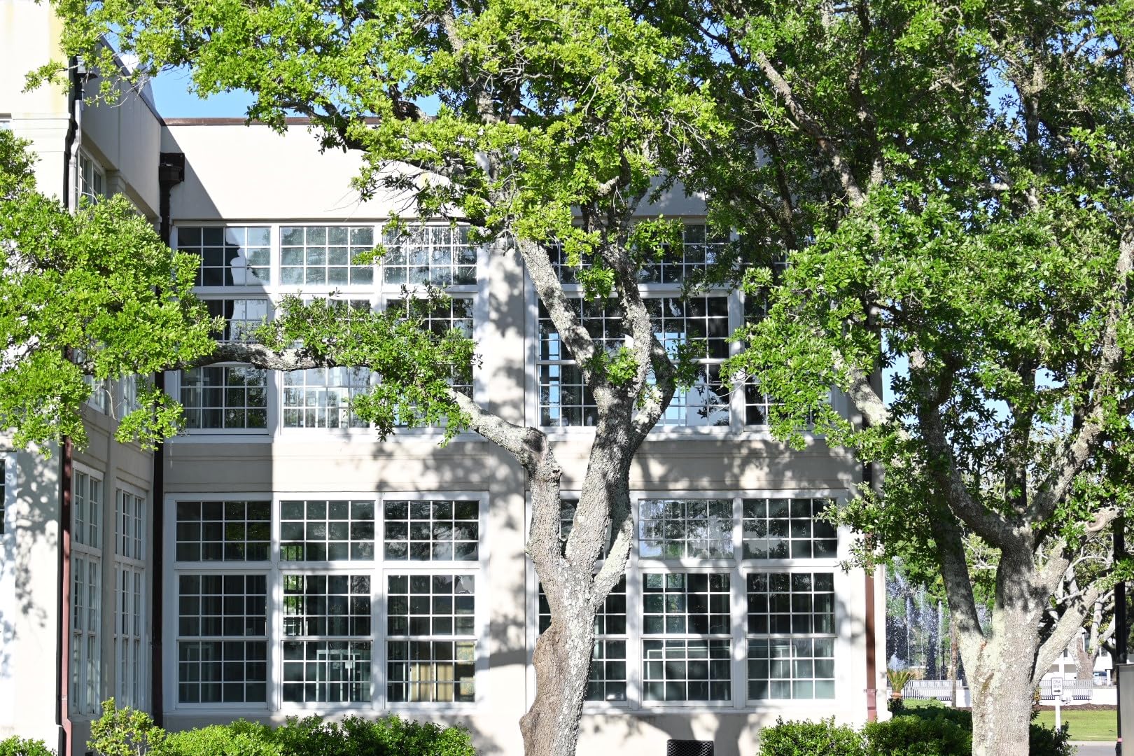 Nikon NIKKOR Z DX 24mm f/1.7 | Extra-large aperture wide-angle prime lens for APS-C size/DX format Z series mirrorless cameras - Customer Photo 1