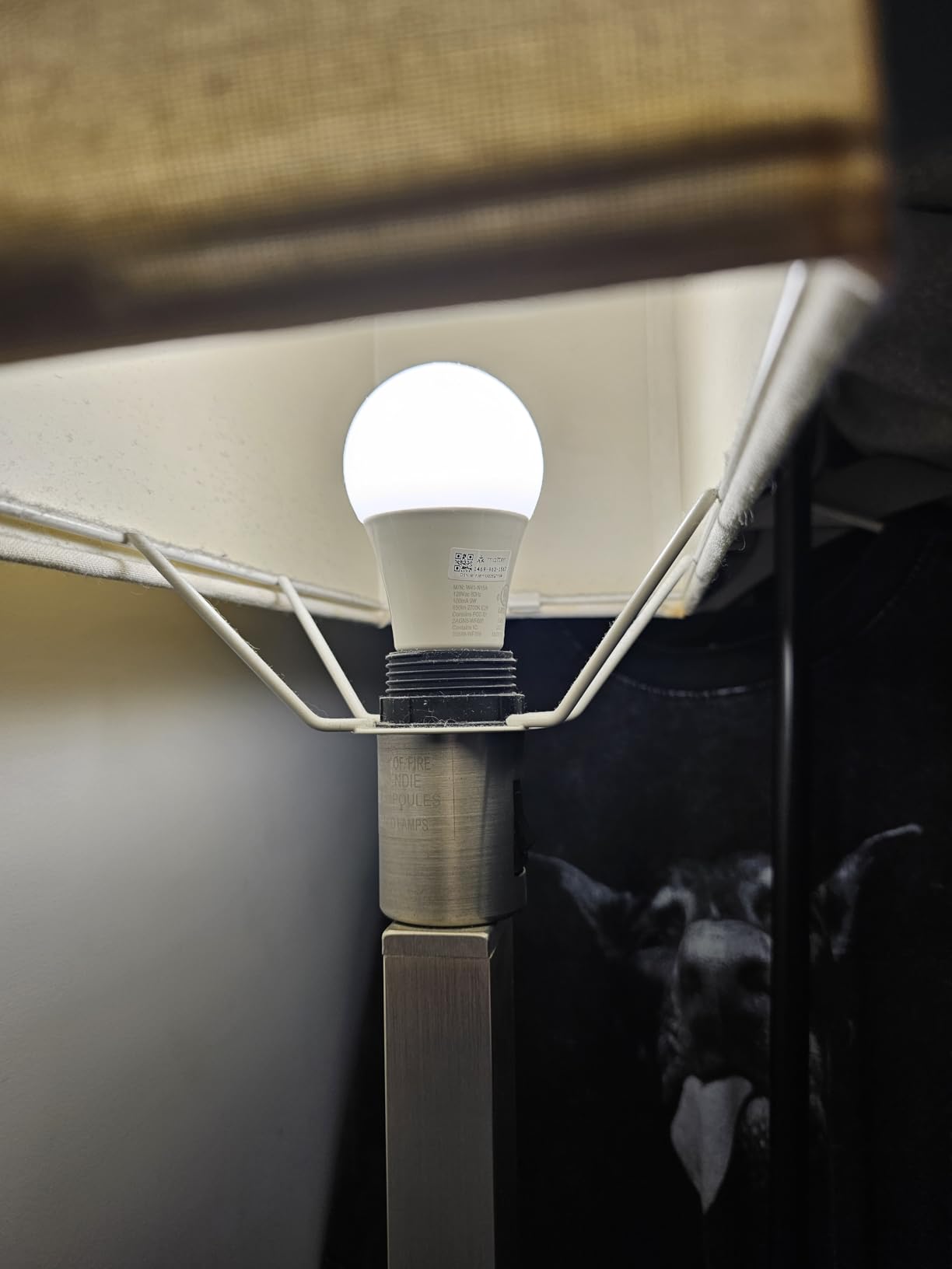 Sengled Matter LED Smart Light Bulb (A19), Multicolor, Compatible with Alexa, 60W Equivalent, 800LM, Instant Pairing, 1-Pack - Customer Photo 1