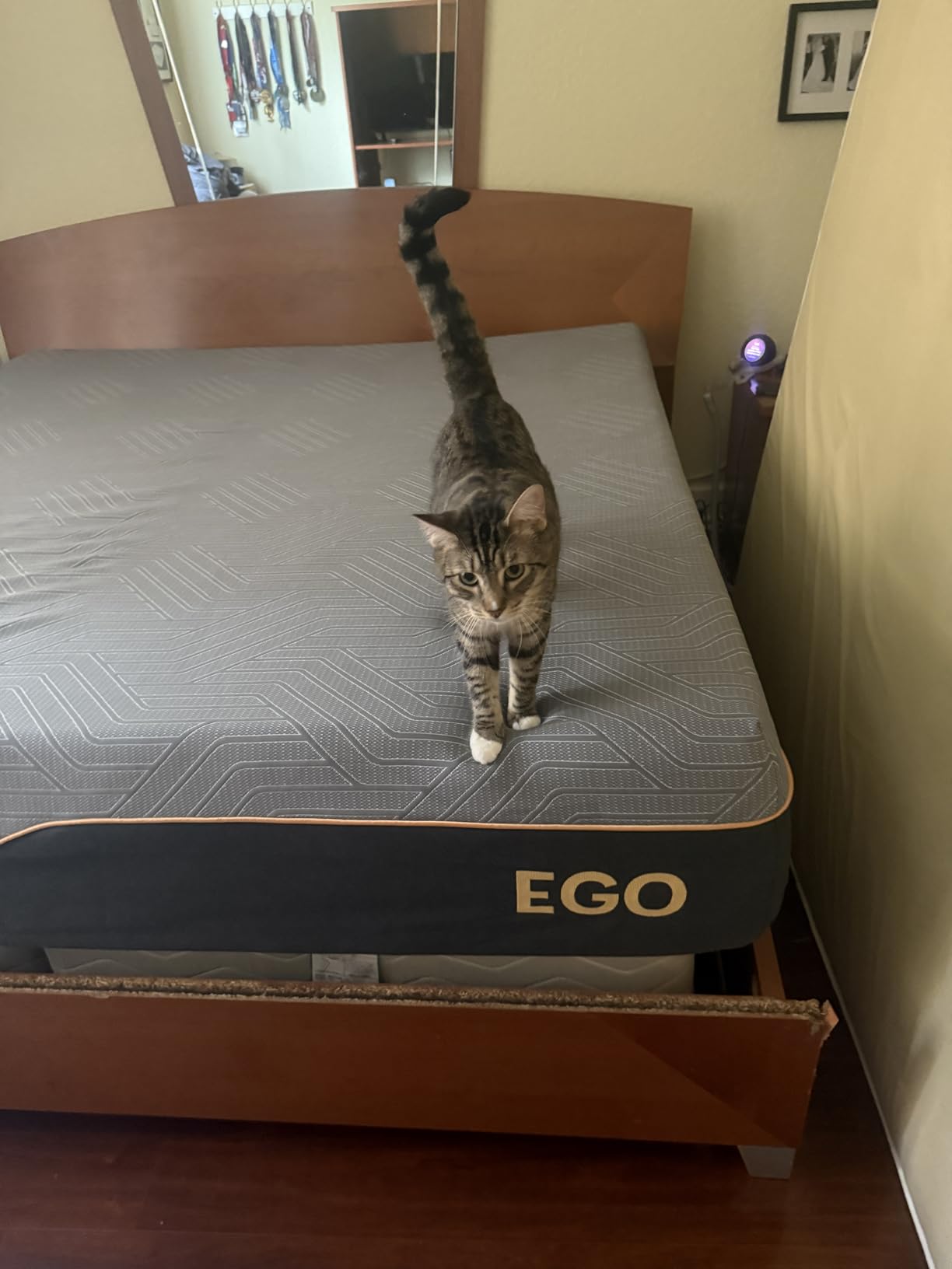 EGOHOME 12 Inch Queen Mattress, Copper Gel Cooling Memory Foam for Back Pain Relief, Therapeutic Bed in a Box, Foam Made in USA, CertiPUR-US Certified, 60x80x12 Black - Customer Photo 1