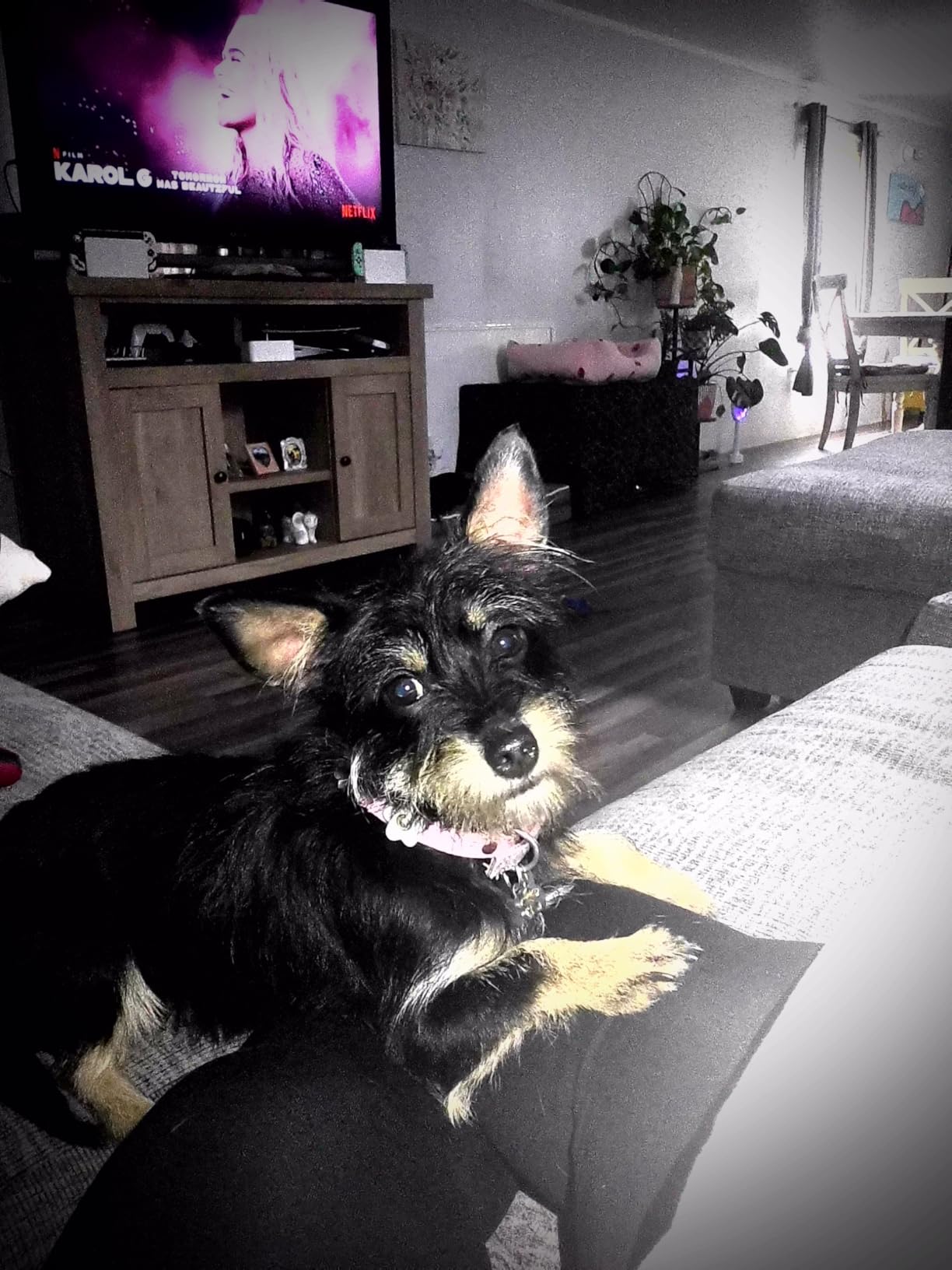 Fujifilm Instax Mini EVO Hybrid Instant Camera (Brown) Bundle with Instax-Mini Twin Pack Instant-Film 20 Sheets + 32GB Memory Card + Vintage Black Mini-Evo Camera Case + Cleaning Cloth - Customer Photo 1