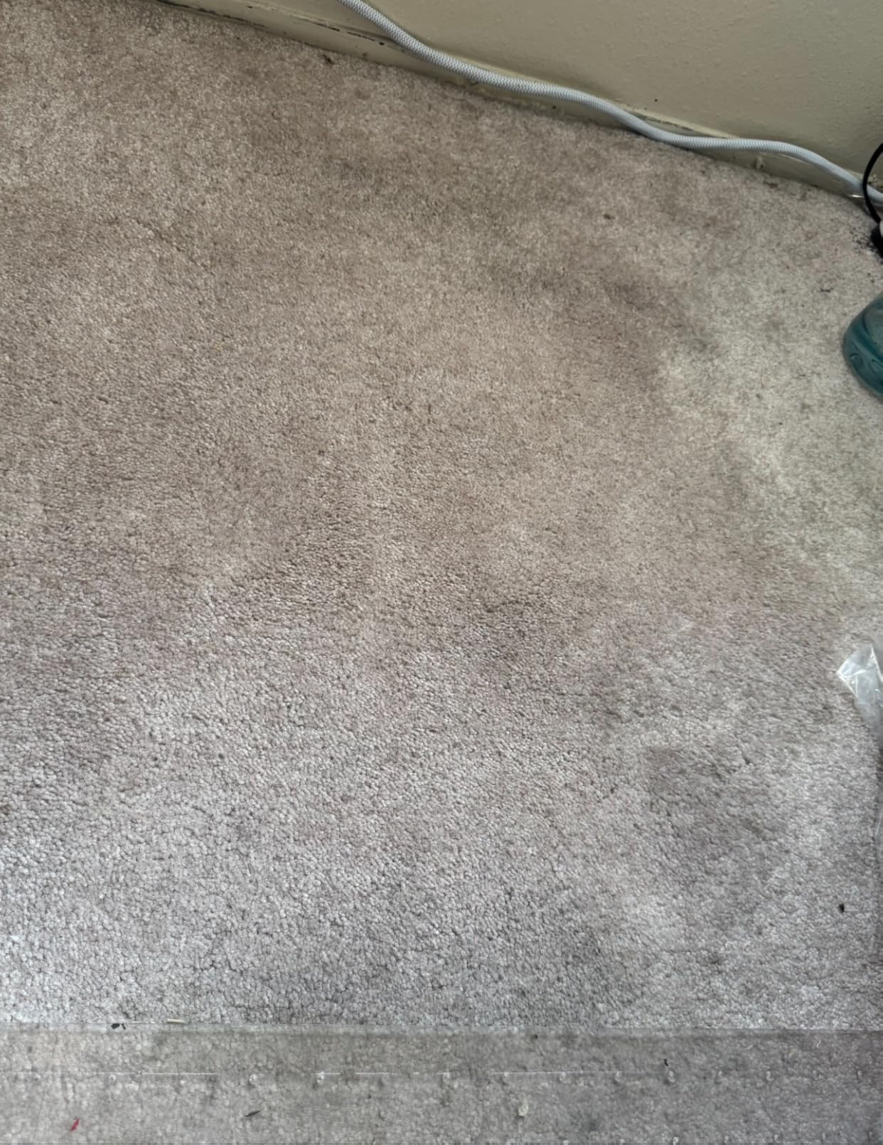 Shark StainStriker Portable Carpet Upholstery & Area Rug Cleaner, Bonus XL Tool & Full-Size Cleaning Solution, Stain & Odor Remover, Perfect for Car Interiors, 4 Cleaning Tools, Nordic Blue, PX202BRN - Customer Photo 2