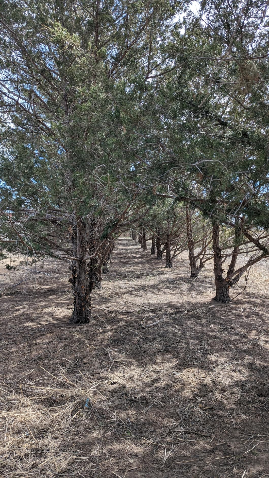 Milwaukee M18 FUEL 10