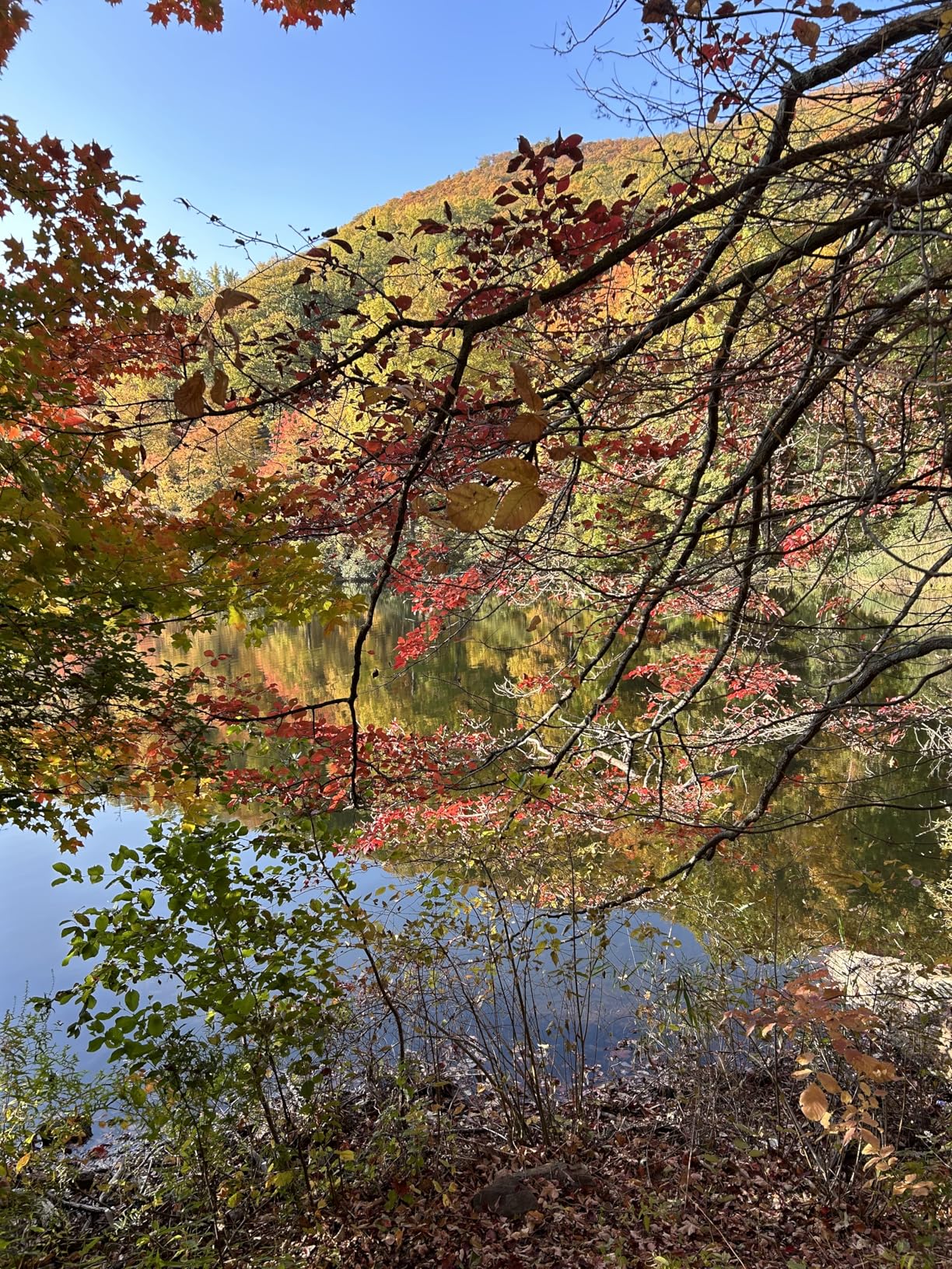 HOVERAir X1 Drone with Camera, Self-Flying Camera Drone with Follow Me Mode, Foldable Mini Drone with HDR Video Capture, Palm Takeoff, Intelligent Flight Paths, Hands-Free Control Black (Standard) Customer Review HOVERAir X1 Drone with Camera, Self-Flying Camera Drone with Follow Me Mode, Foldable Mini Drone with HDR Video Capture, Palm Takeoff, Intelligent Flight Paths, Hands-Free Control Black (Standard) - Customer Photo 2