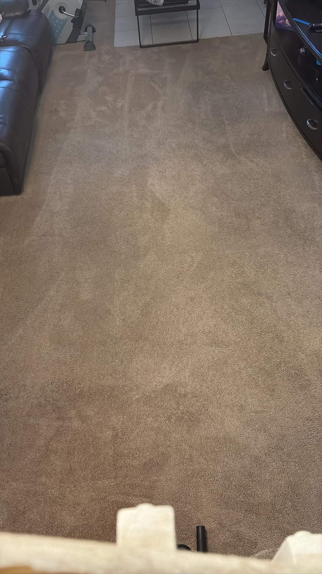 BISSELL TurboClean Pet XL Upright Carpet Cleaner, Upholstery Tough Stain Tool & Formula included, 3746 Customer Review BISSELL TurboClean Pet XL Upright Carpet Cleaner, Upholstery Tough Stain Tool & Formula included, 3746 - Customer Photo 1