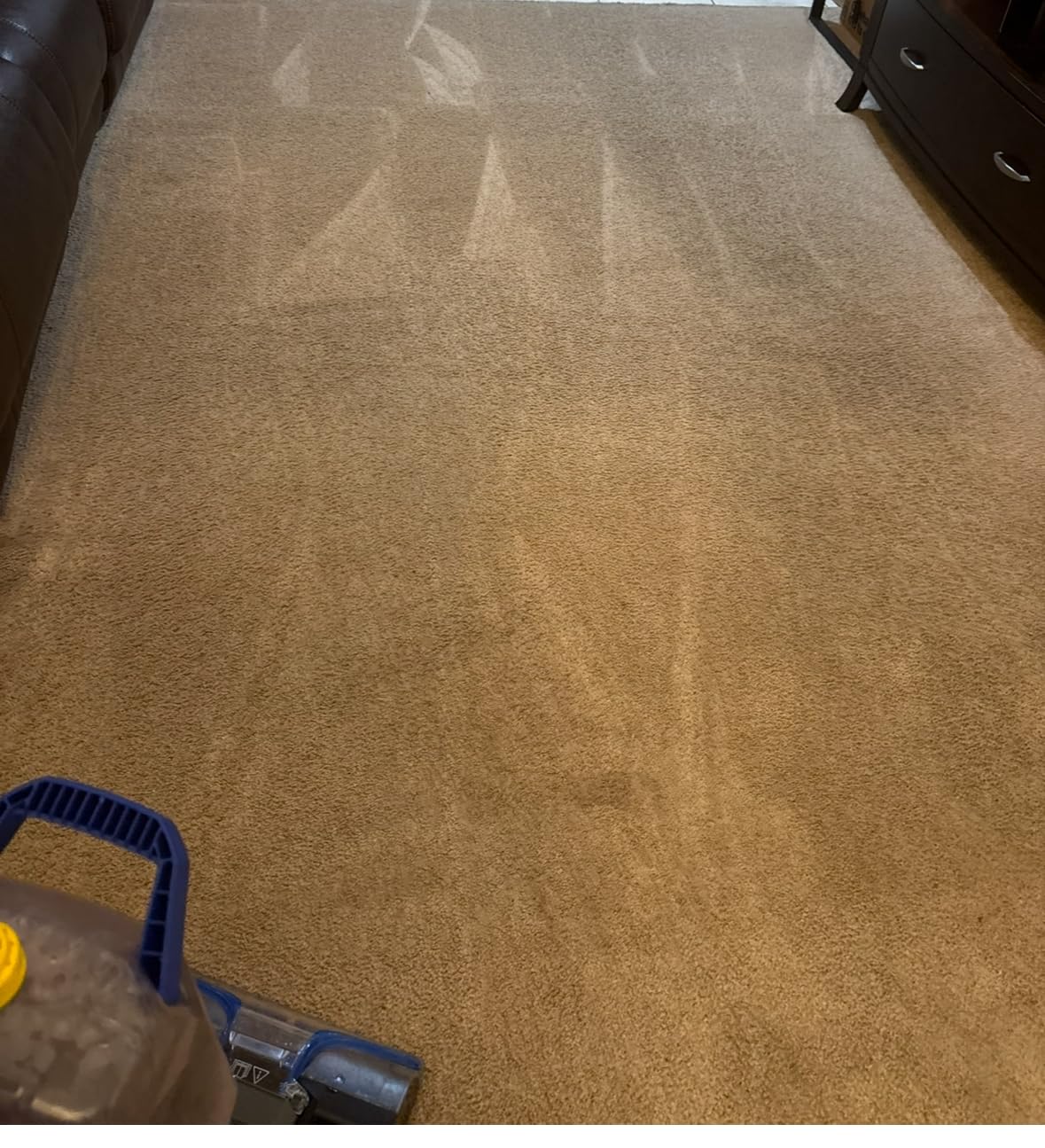 BISSELL TurboClean Pet XL Upright Carpet Cleaner, Upholstery Tough Stain Tool & Formula included, 3746 Customer Review BISSELL TurboClean Pet XL Upright Carpet Cleaner, Upholstery Tough Stain Tool & Formula included, 3746 - Customer Photo 2