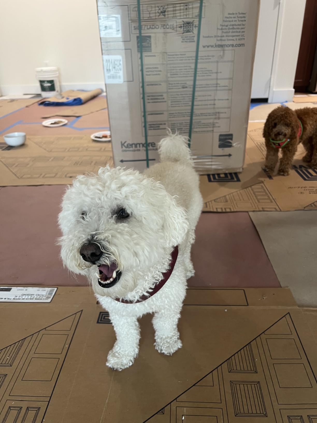 Kenmore Elite 24 Kenmore Elite 24