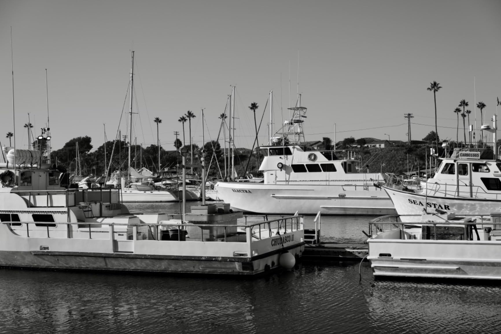 Sony Alpha 7CR Full-Frame Interchangeable Lens Hybrid Camera - Black Customer Review Sony Alpha 7CR Full-Frame Interchangeable Lens Hybrid Camera - Black - Customer Photo 1