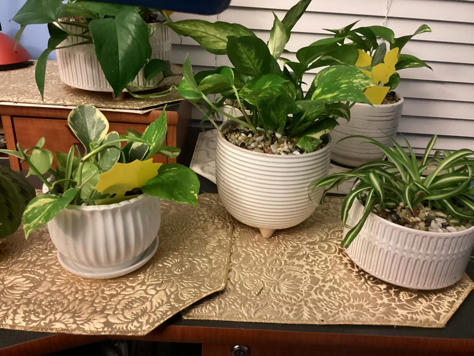 LE TAUCI Ceramic Plant Pots, 5.1 + 6.4 Inch Footed Pots for Plants, Modern Flower Pots for Home and Office, Indoor Planters with Drainage, Reactive Glaze White Customer Review LE TAUCI Ceramic Plant Pots, 5.1 + 6.4 Inch Footed Pots for Plants, Modern Flower Pots for Home and Office, Indoor Planters with Drainage, Reactive Glaze White - Customer Photo 2