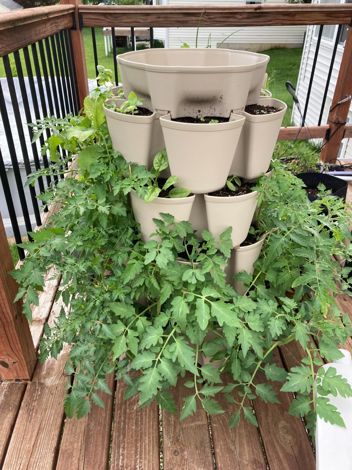 Greenstalk Patented Large 5 Tier Vertical Garden Planter with Patented Internal Watering System Great for Growing a Variety of Strawberries, Vegetables, Herbs, & Flowers (Evergreen) - Customer Photo 2