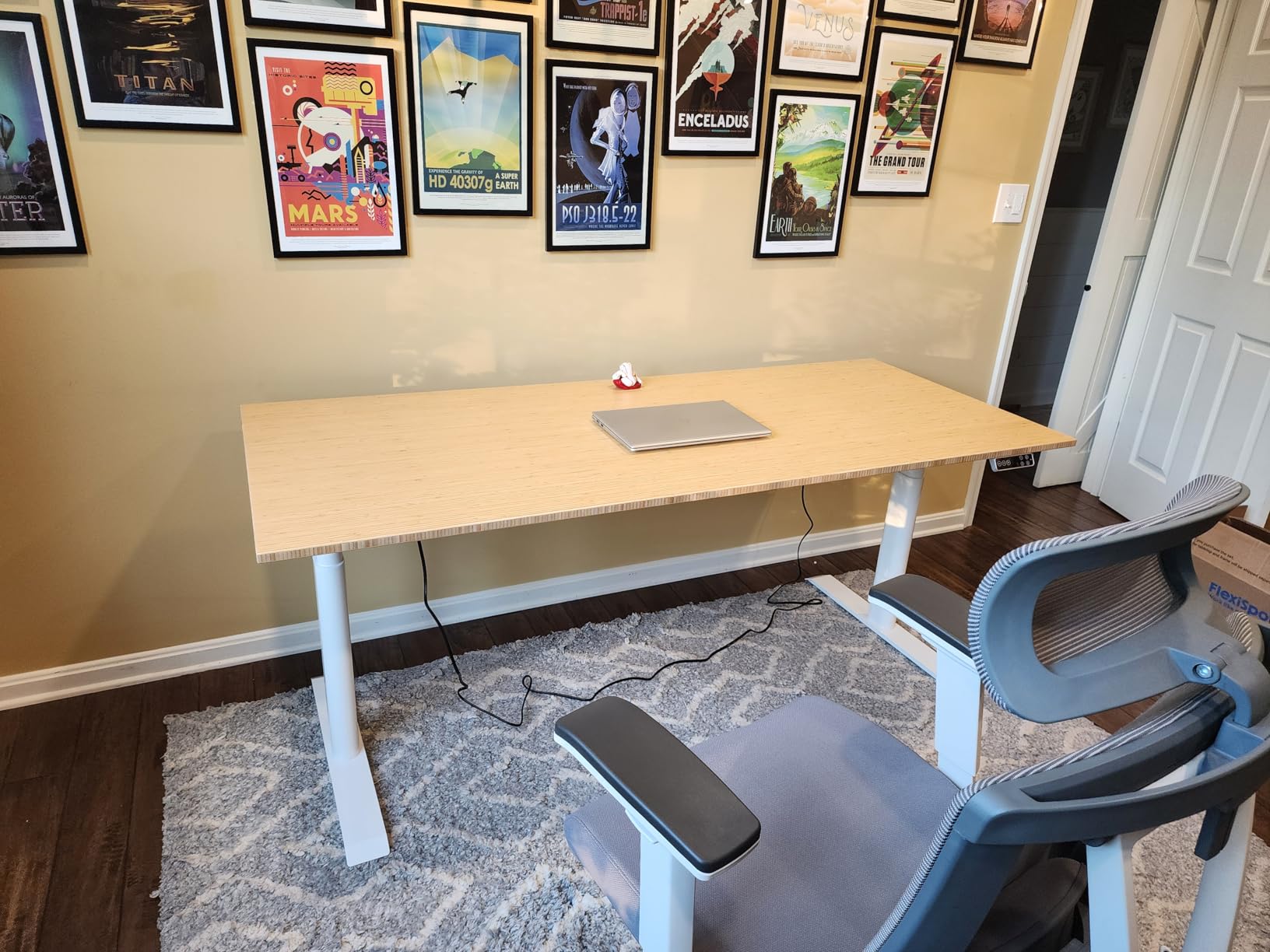 FLEXISPOT E6 Pro Oval Leg Dual Motor 3 Stages Bamboo Electric Standing Desk 55x28 Inch Whole-Piece Board Height Adjustable Electric Sit Stand Up Desk (White Frame + Bamboo Desktop) - Customer Photo 1