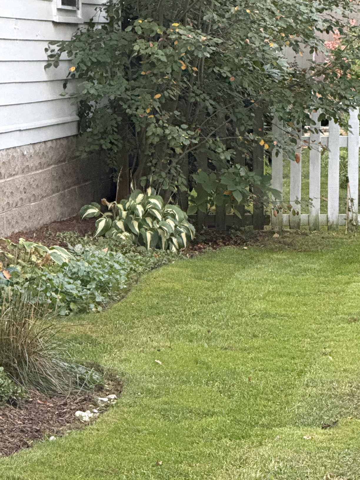 Greenworks 80V 21 Greenworks 80V 21