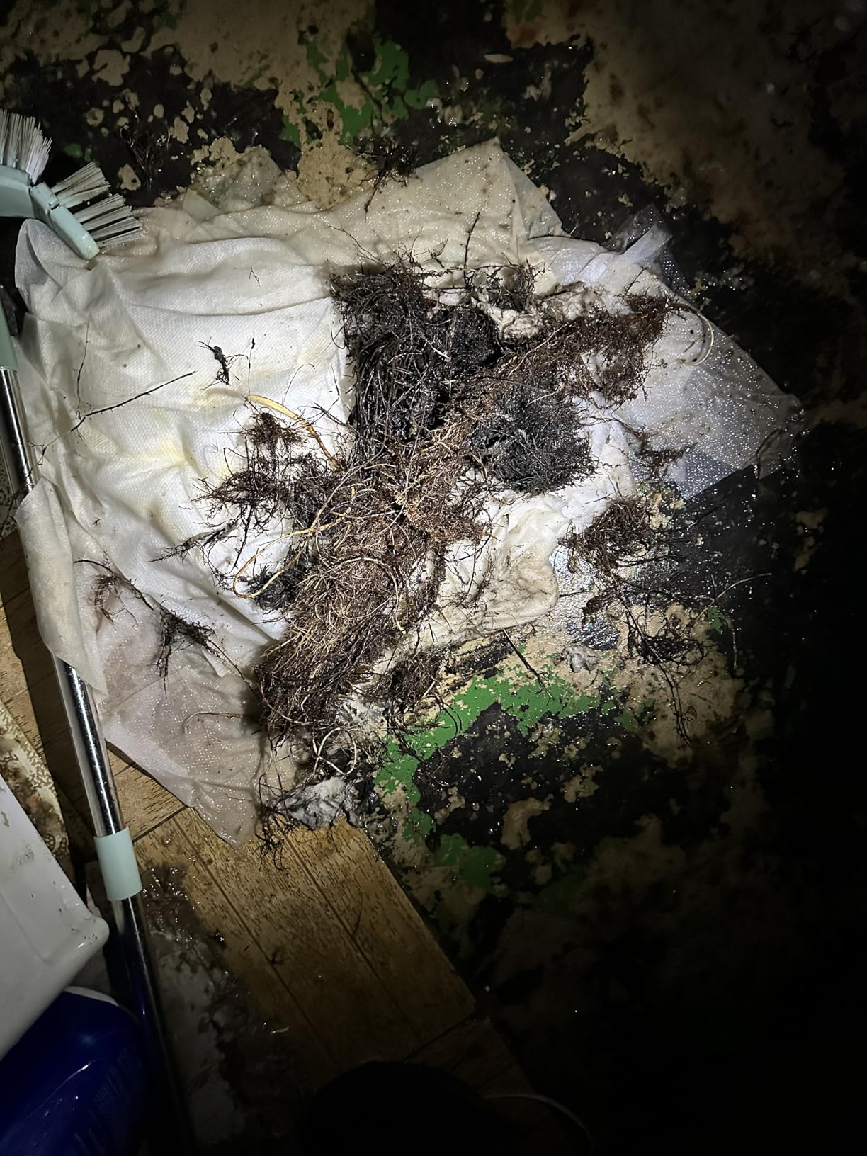 SKIL Power Snake Drain Cleaner Kit including 20V 2.0Ah Lithium Battery & 20V Charger - AU0225D-12 - Customer Photo 1