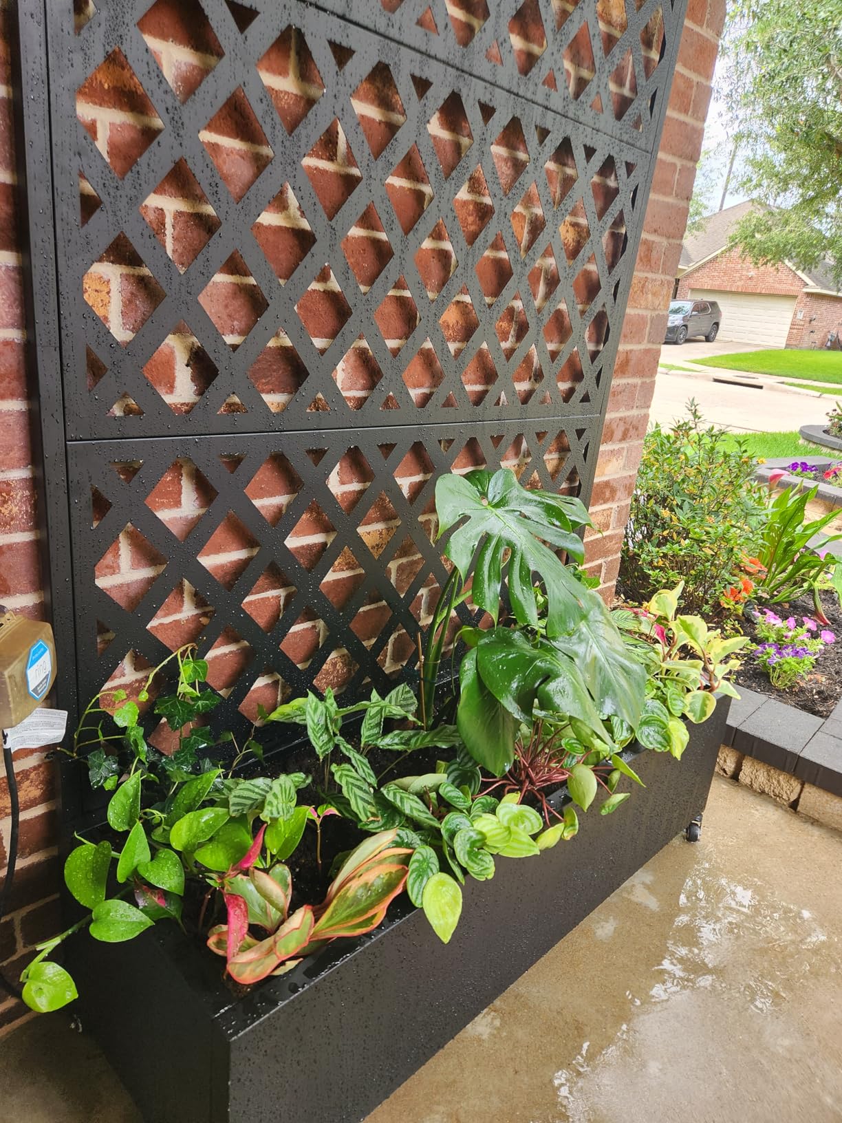 FENCY Metal Planter Box with Diamond Lattice Trellis Planter Box for Climbing Plants/Vines, Galvanized Raised Garden Bed On Wheels, Garden Bed with Trellis(73