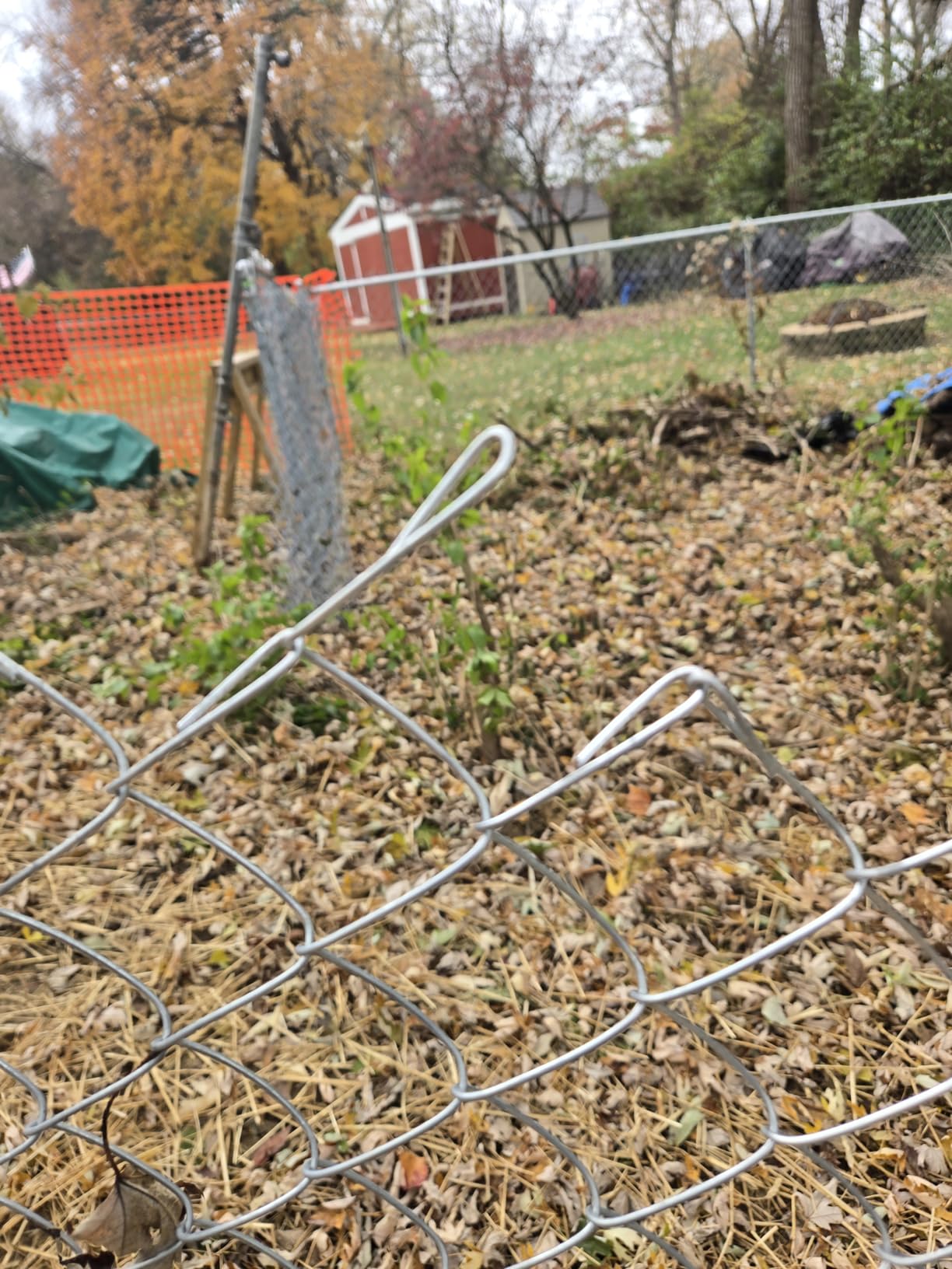 ALEKO Galvanized Steel Chain Link Fence | Complete Kit | 5 x 50 Feet | 11.5 AW Gauge | Silver | KITCLF115G5X50 - Customer Photo 1